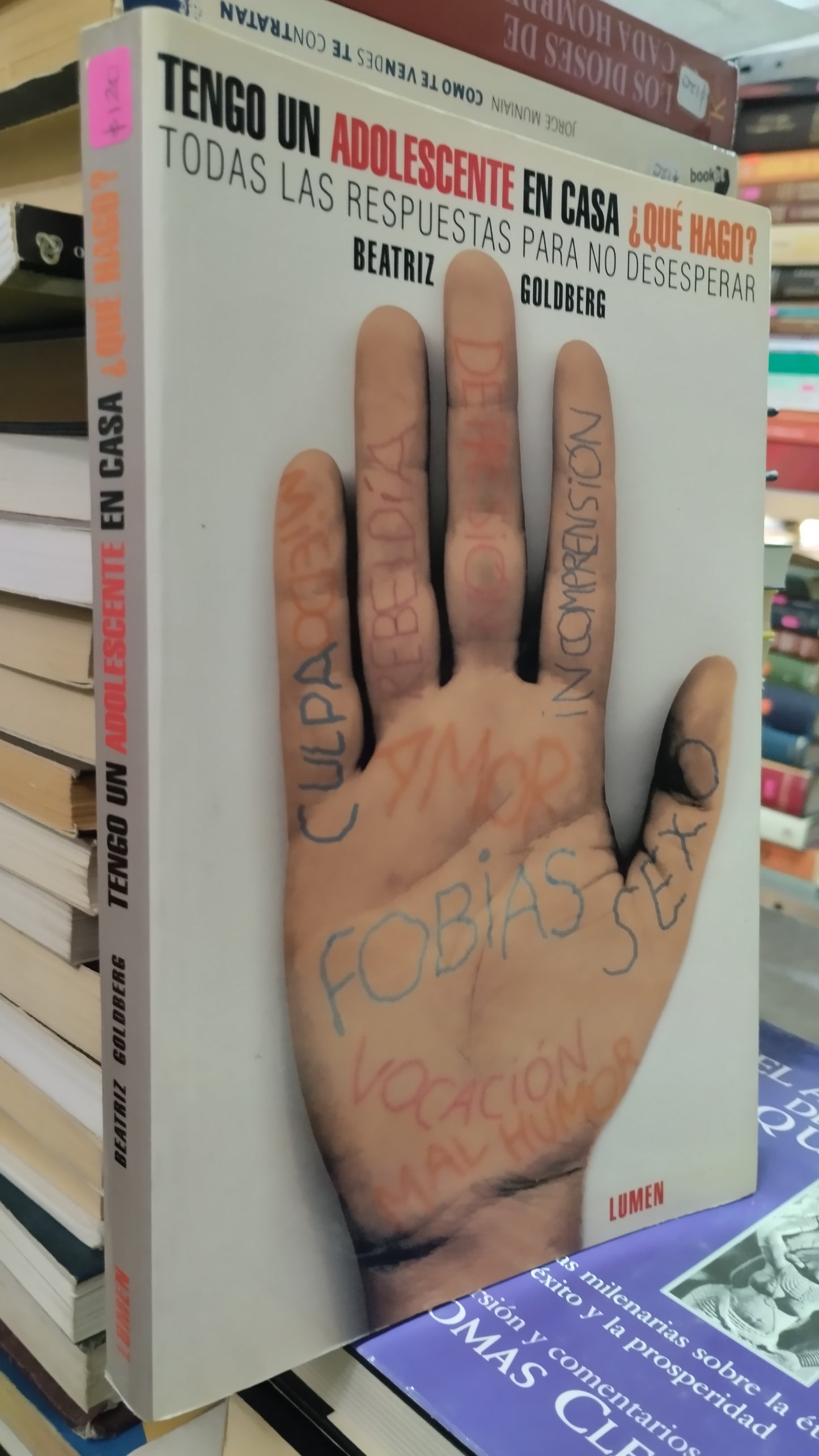 TENGO UN ADOLESCENTE EN CASA QUE HAGO POR BEATRIZ GOLDBERG LIBRO USADO SUPERACION PERSONAL ALDAMA