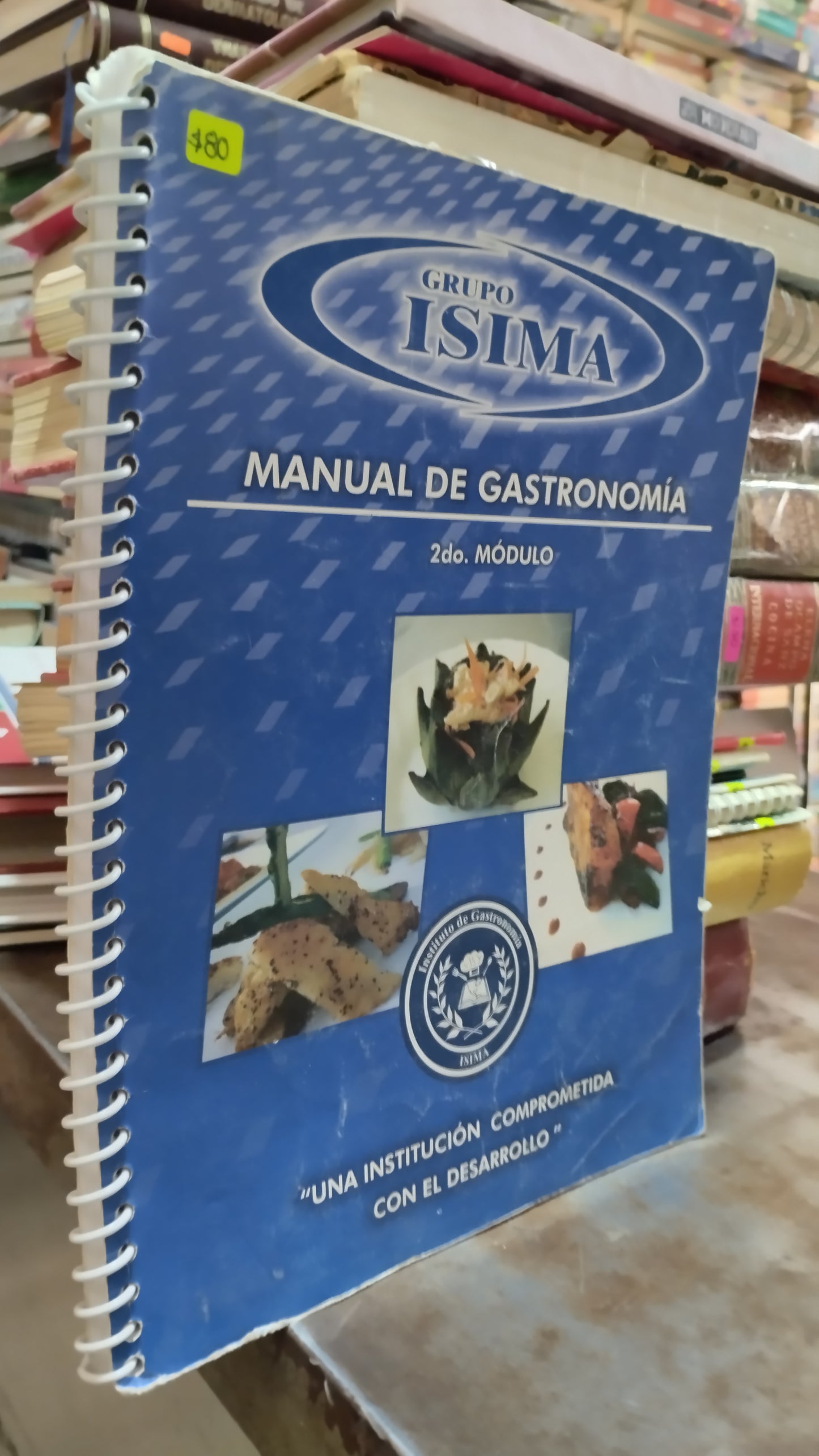 MANUAL DE GASTRONOMIA 2DO MODULO LIBRO USADO COCINA ALDAMA