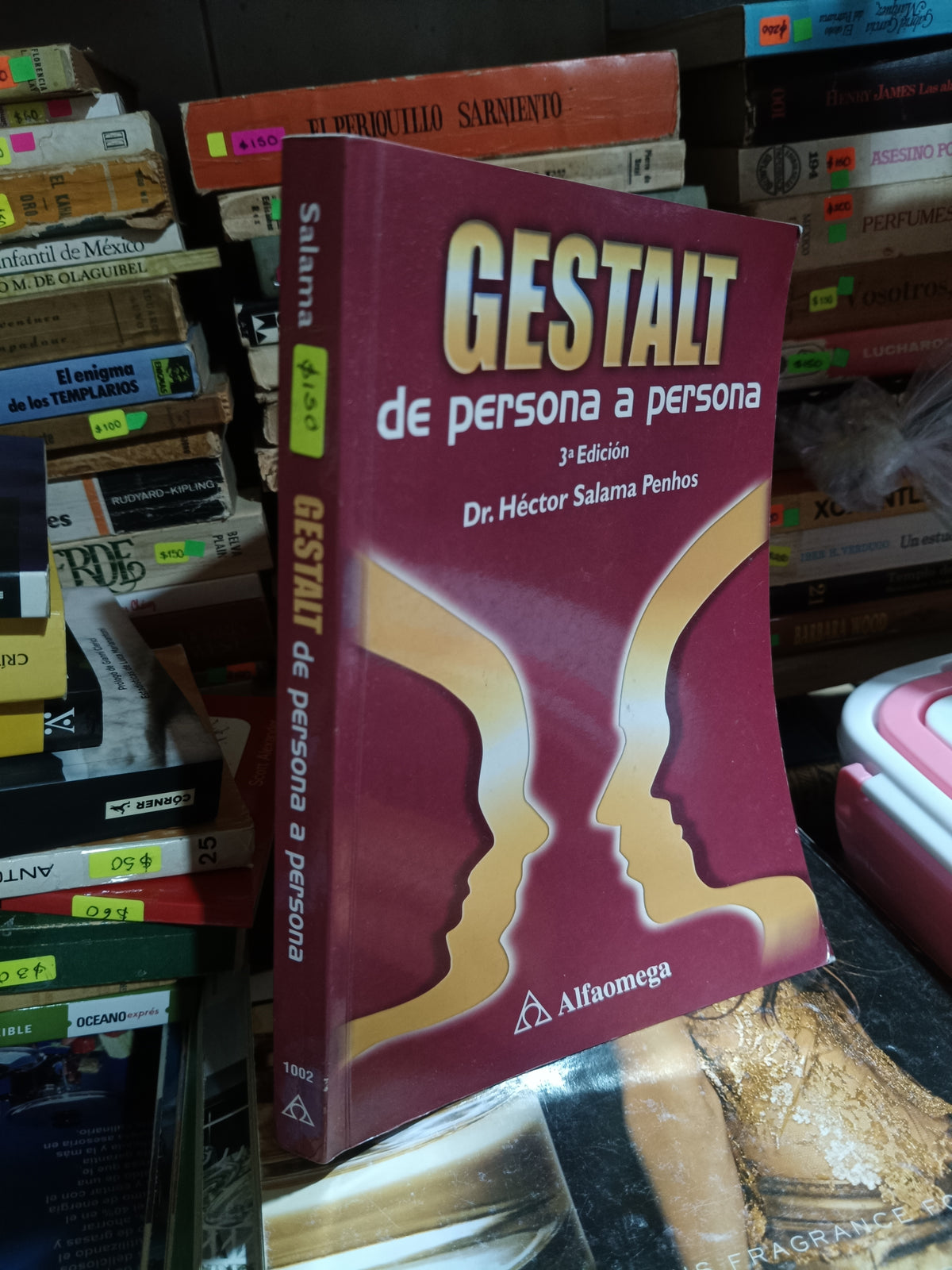 GESTALT DE PERSONA A PERSONA POR SALAMA USADO PSICOLOGIA ALDAMA
