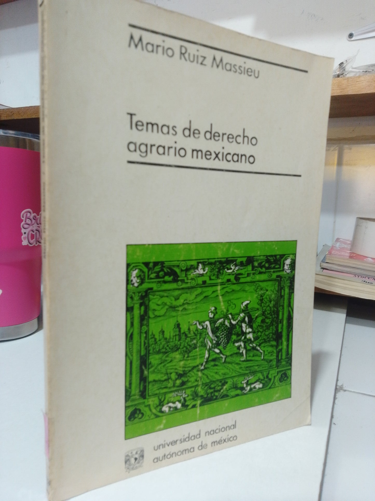 TEMAS DE DERECHO AGRARIO MEXICANO POR MARIO RUIZ MASSIEU USADO DERECHO JUAREZ