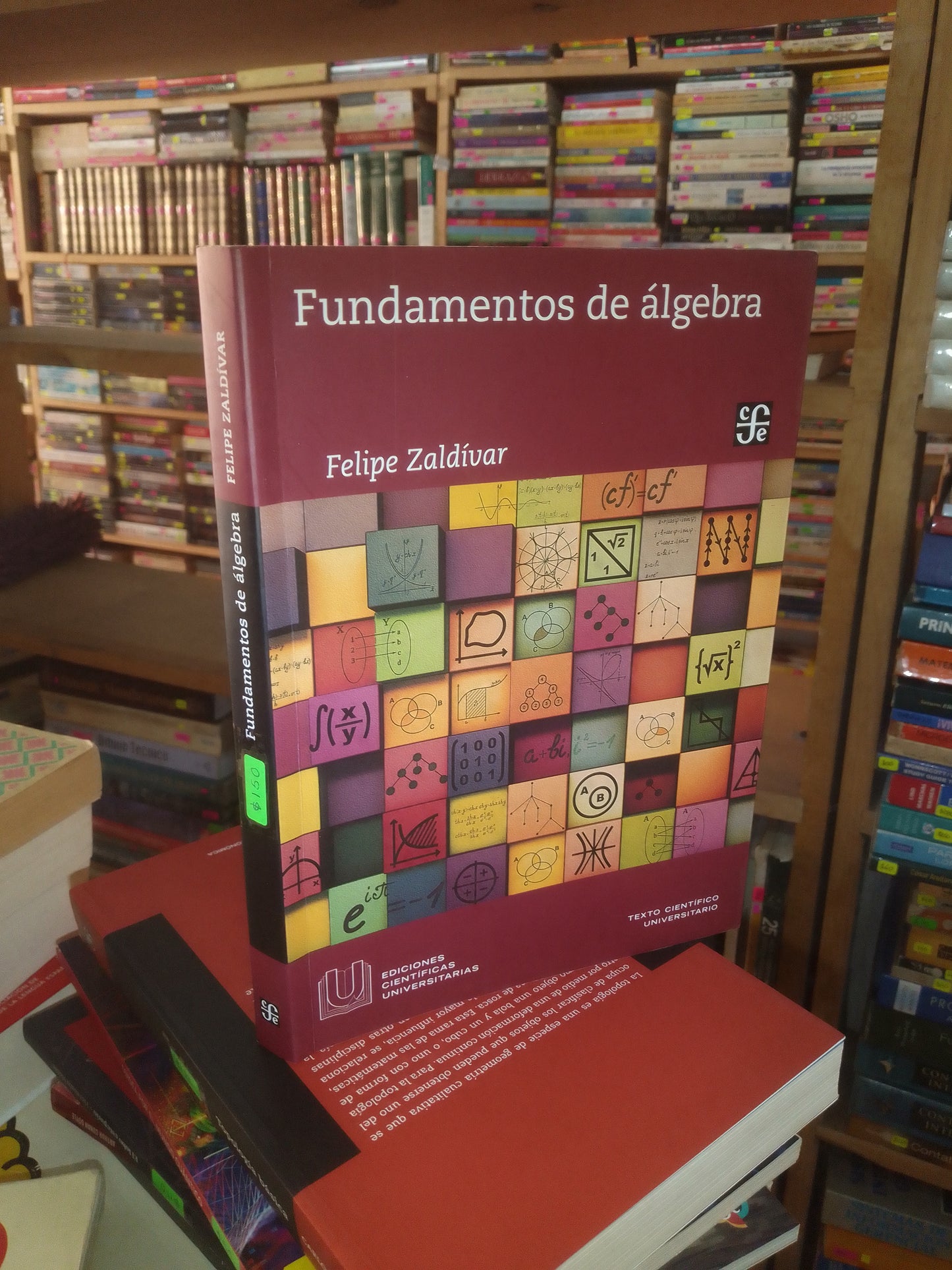 FUNDAMENTOS DE ÁLGEBRA POR FELIPE ZALDÍVAR USADO MATEMÁTICAS LITERARIO 207