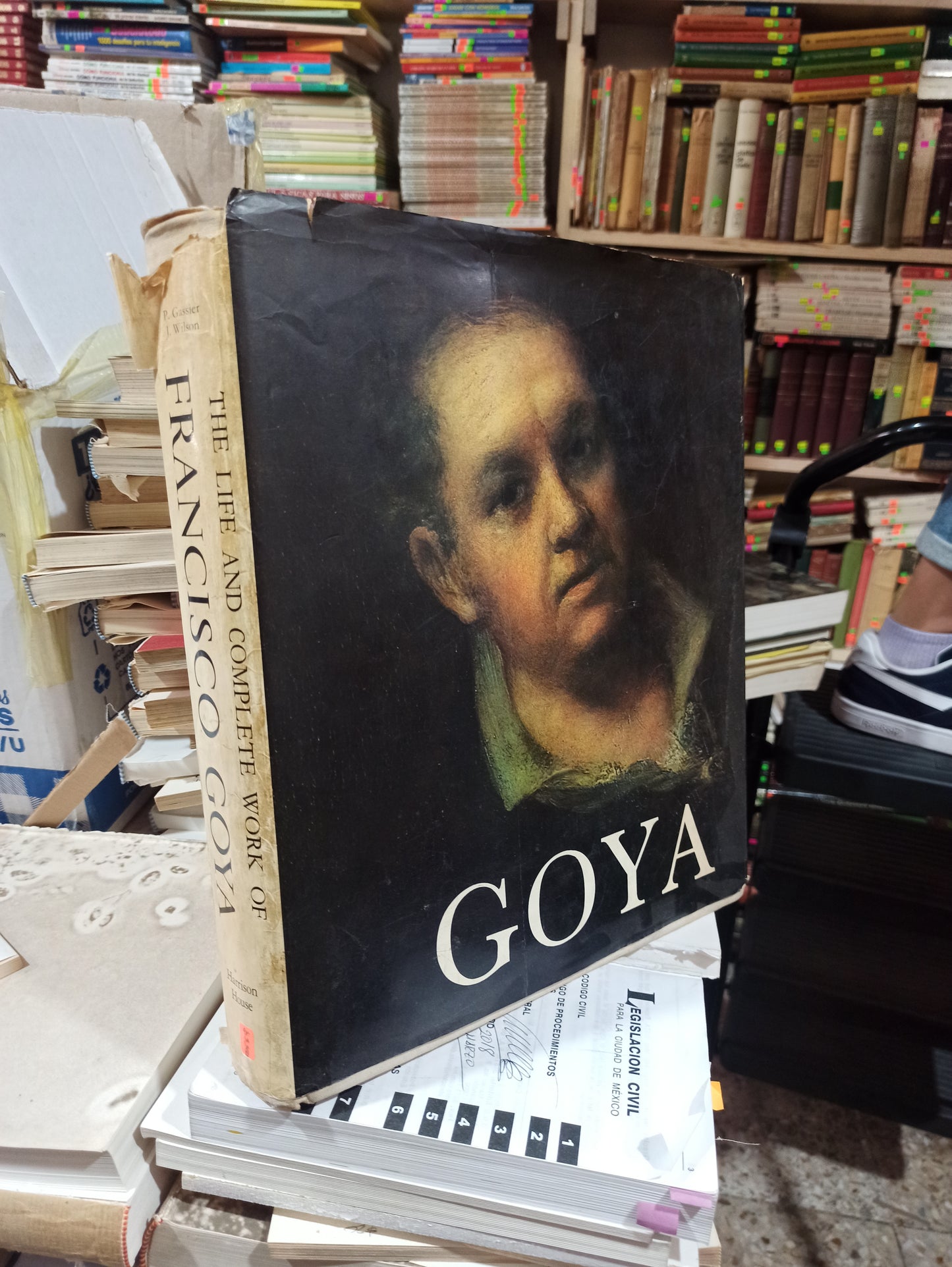 THE LIFE AND COMPLETE WORK OF FRANCISCO GOYA POR P. GASSIER USADO ARTES ALDAMA