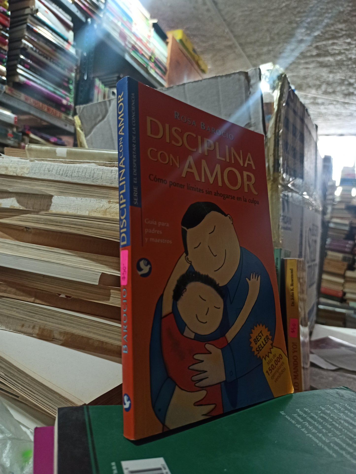 DISCIPLINA CON AMOR POR ROSA BAROCIO USADO PSICOLOGÍA ALDAMA