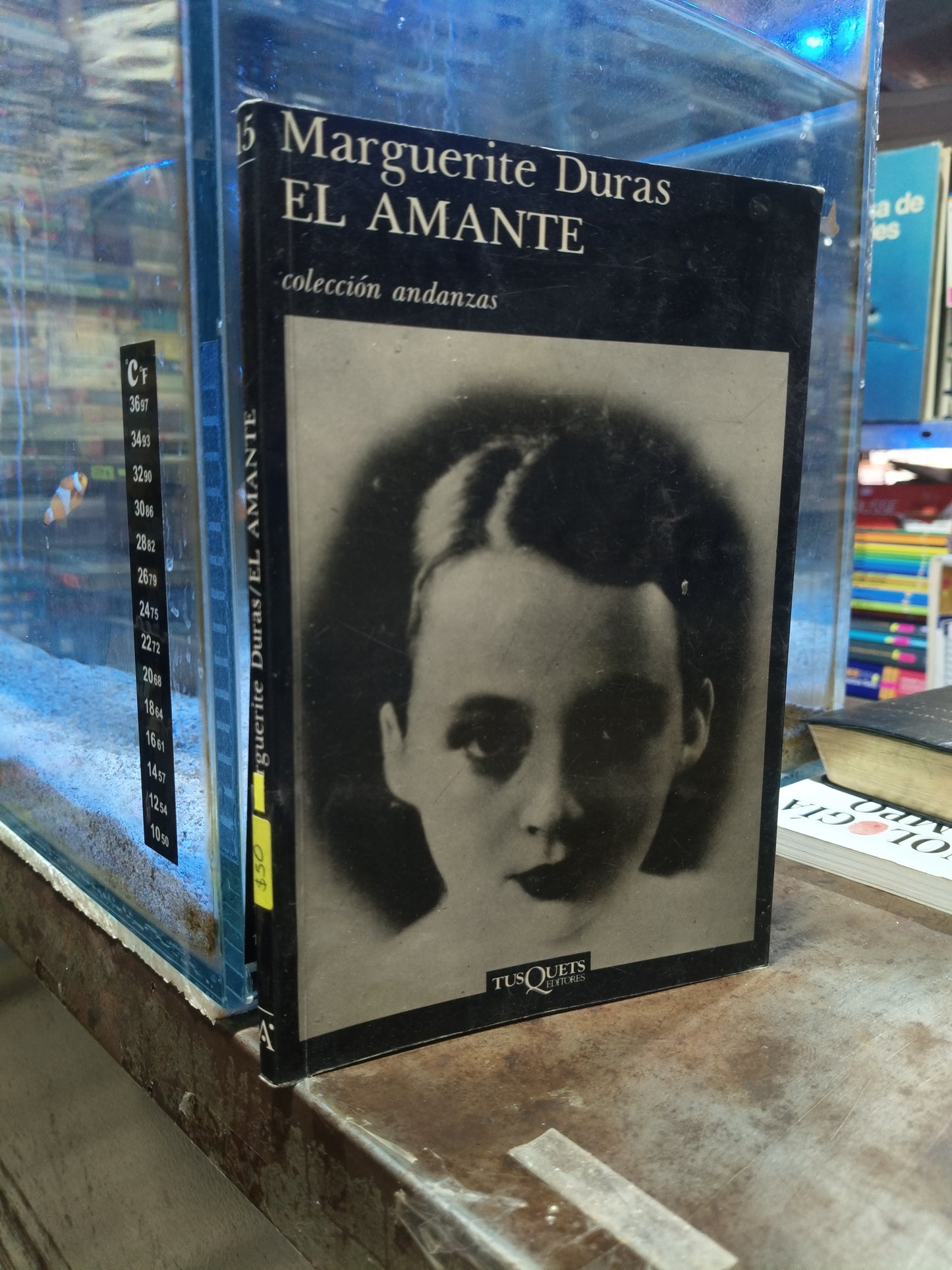 EL AMANTE POR MARGUERITE DURAS USADO NOVELA ALDAMA