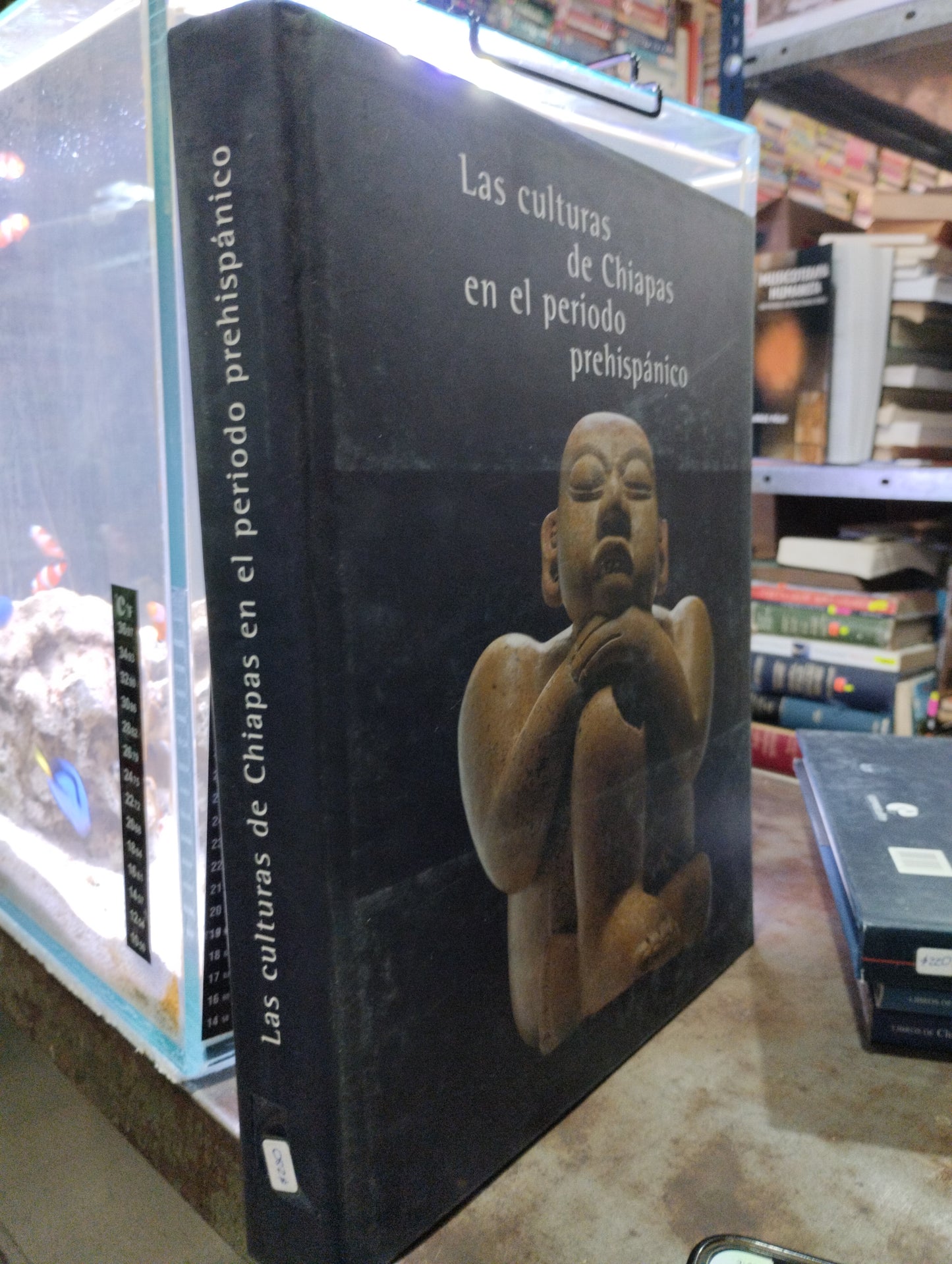 LAS CULTURAS DE CHIAPAS EN EL PERIODO PREHISPANICO USADO ARTE ALDAMA