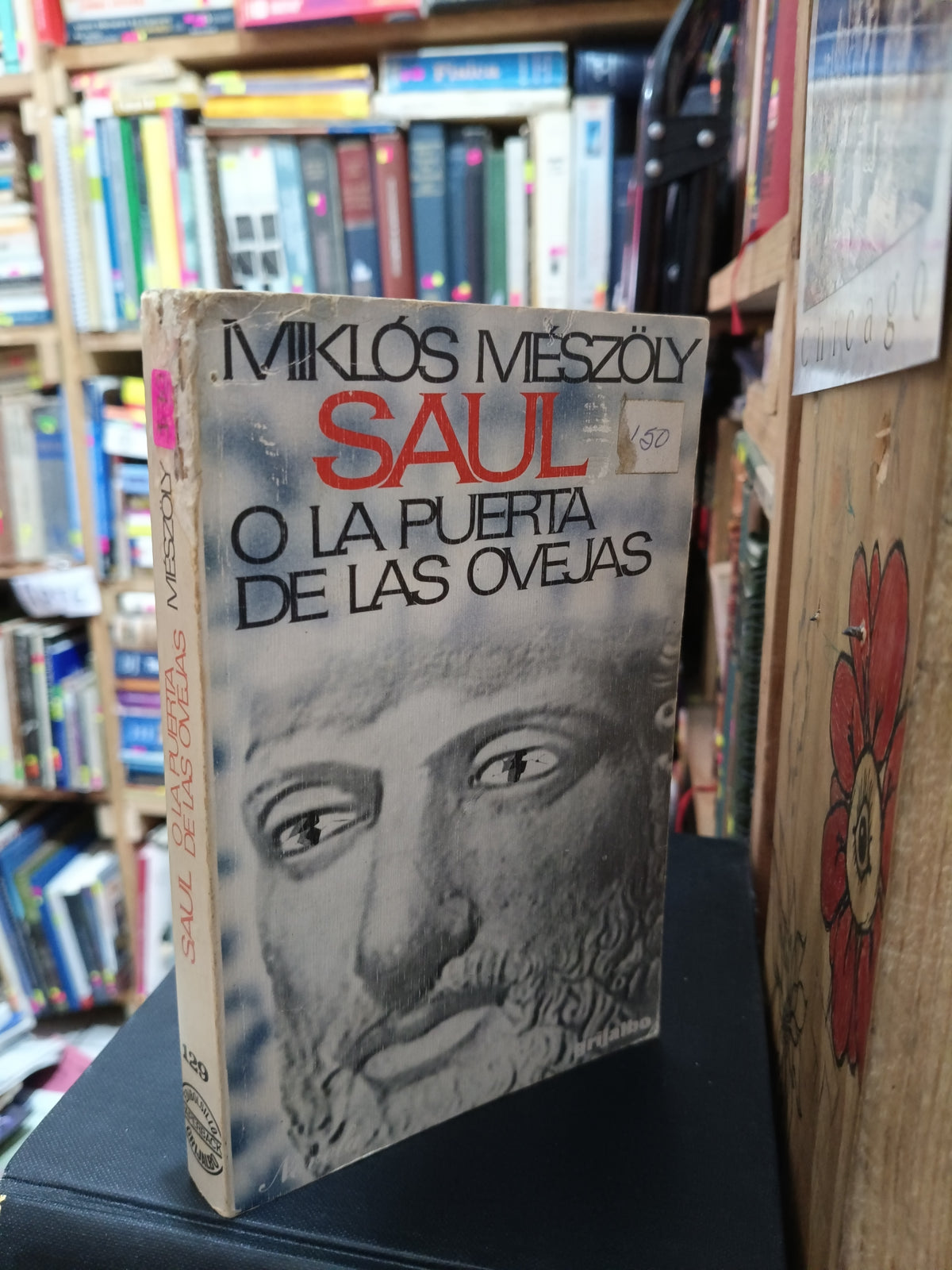 SAUL O LA PUERTA DE LAS OVEJAS MIKLOS MESZOLY USADO NOVELA LITERARIO 305