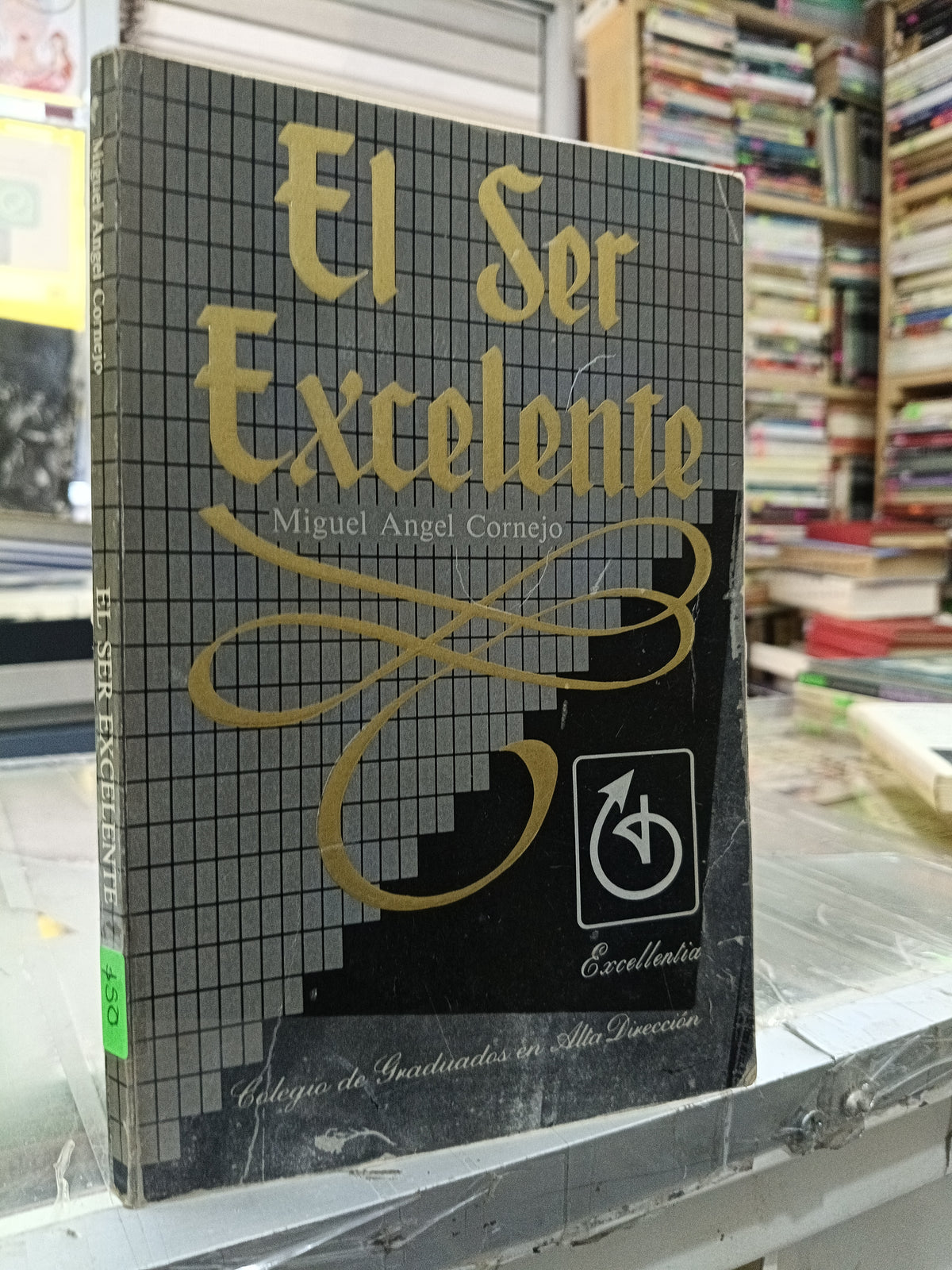 EL SER EXCELENTE POR MIGUEL ANGEL CORNEJO USADO S.PERSONAL JUAREZ 507
