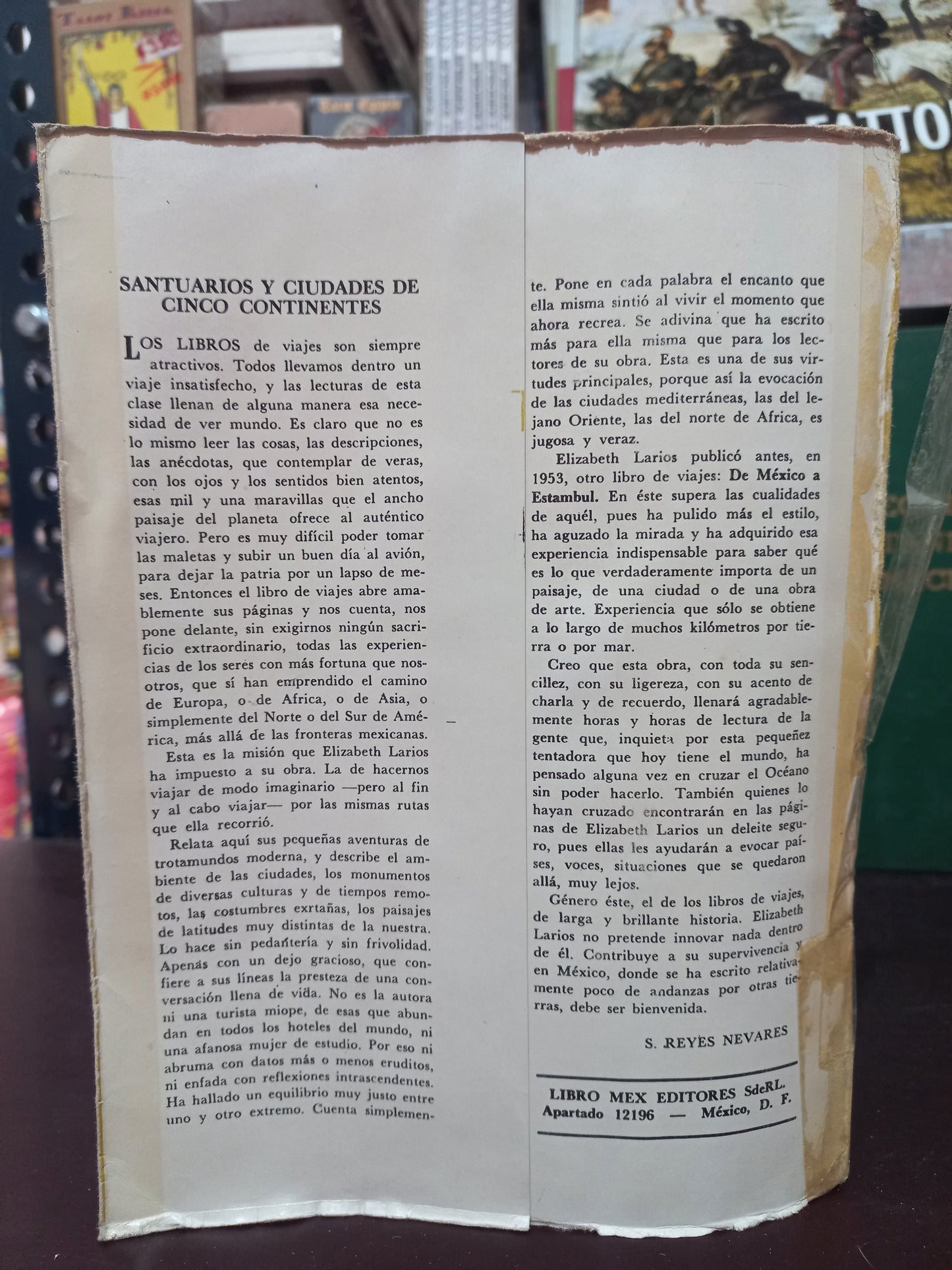 CIUDADES Y SANTUARIOS DE CINCO CONTINENTES POR ELIZABETH LARIOS USADO HISTORIA LITERARIO 305