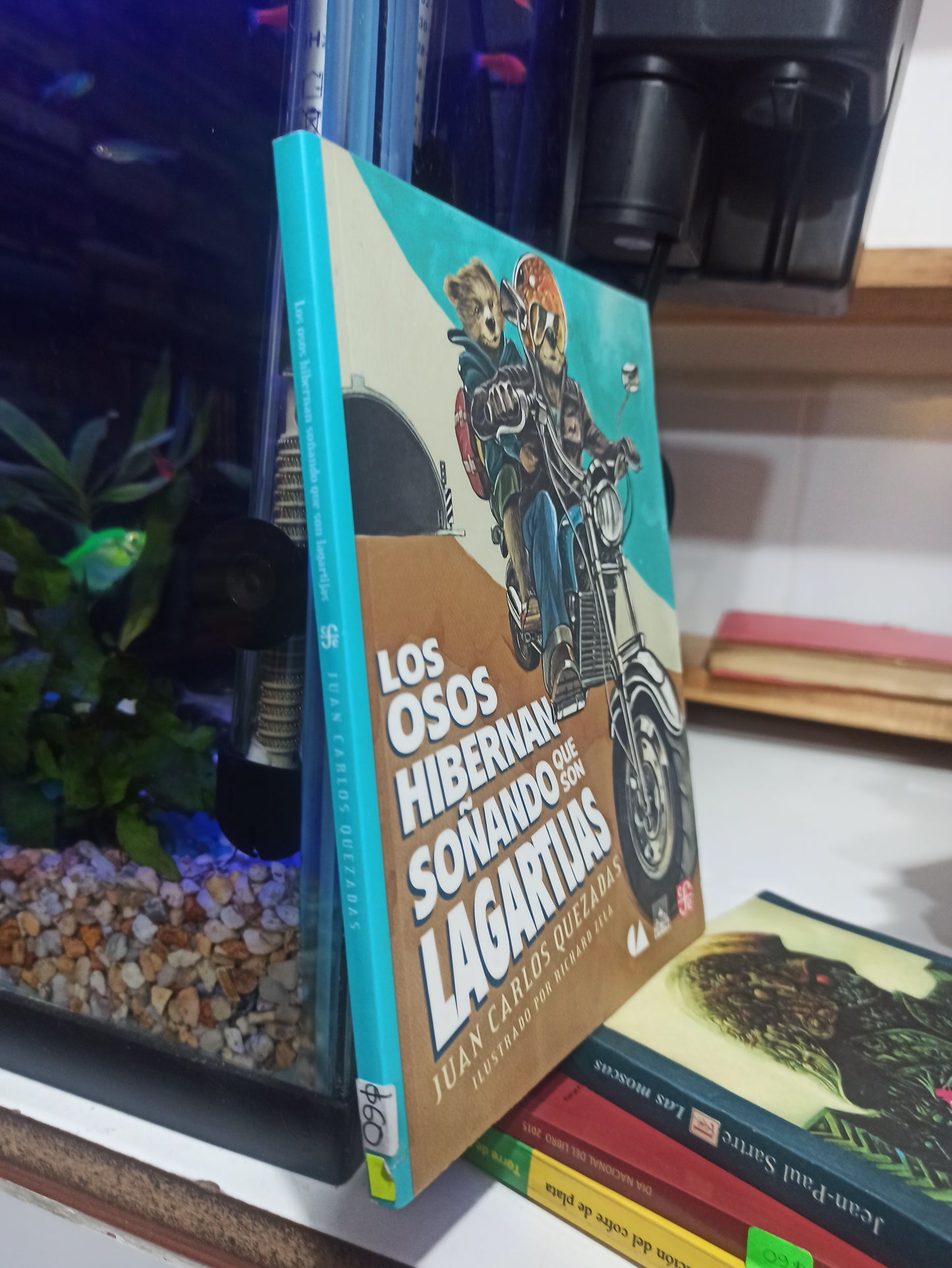 LOS OSOS HIERBAN SOÑANDO QUE SON LAGARTIJAS POR JUAN CARLOS QUEZADAS USADO INFANTILES JUÁREZ