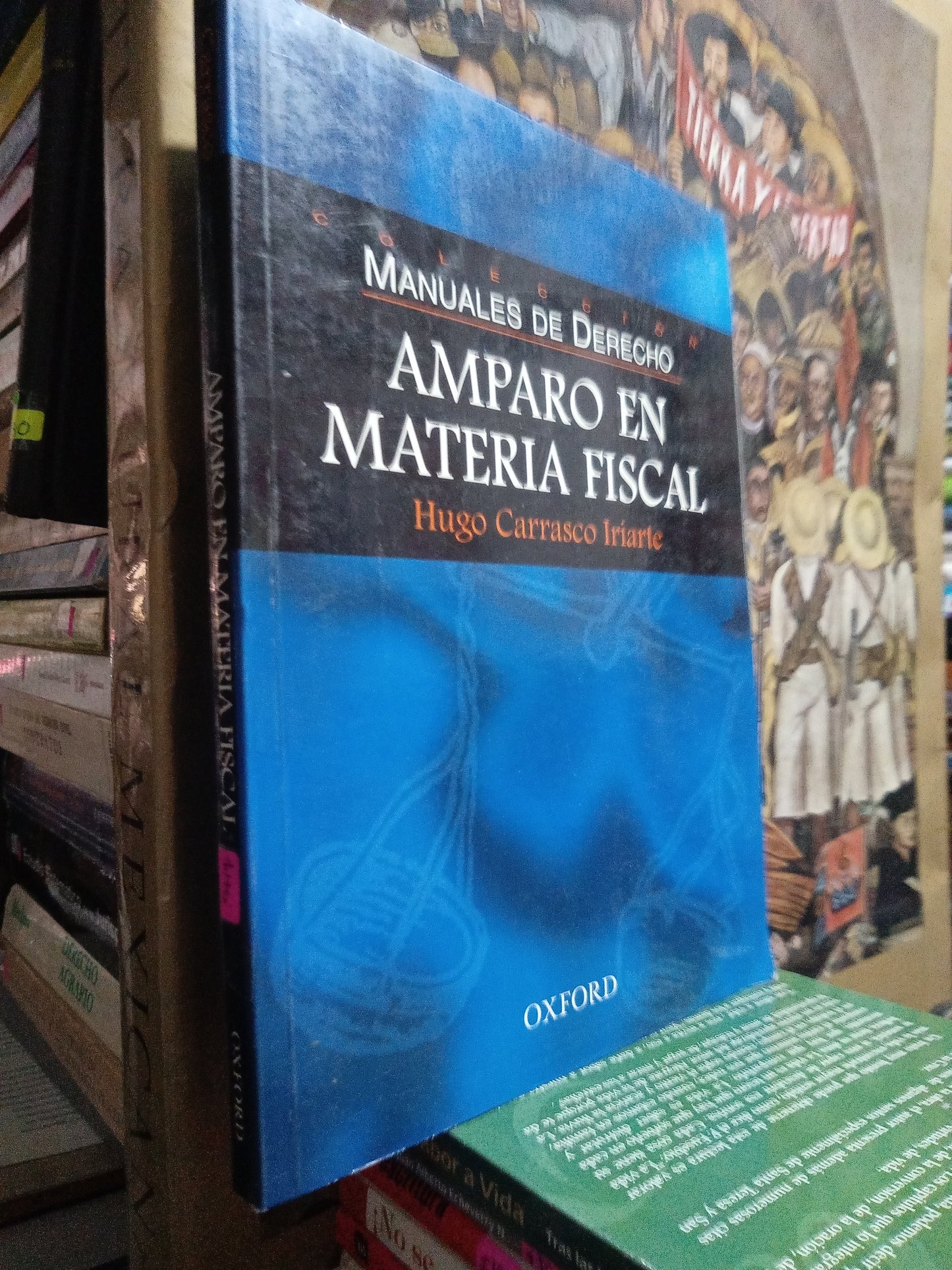 AMPARO EN MATERIA FISCAL POR HUGO CARRASCO IRIARTE USADO DERECHO JUÁREZ