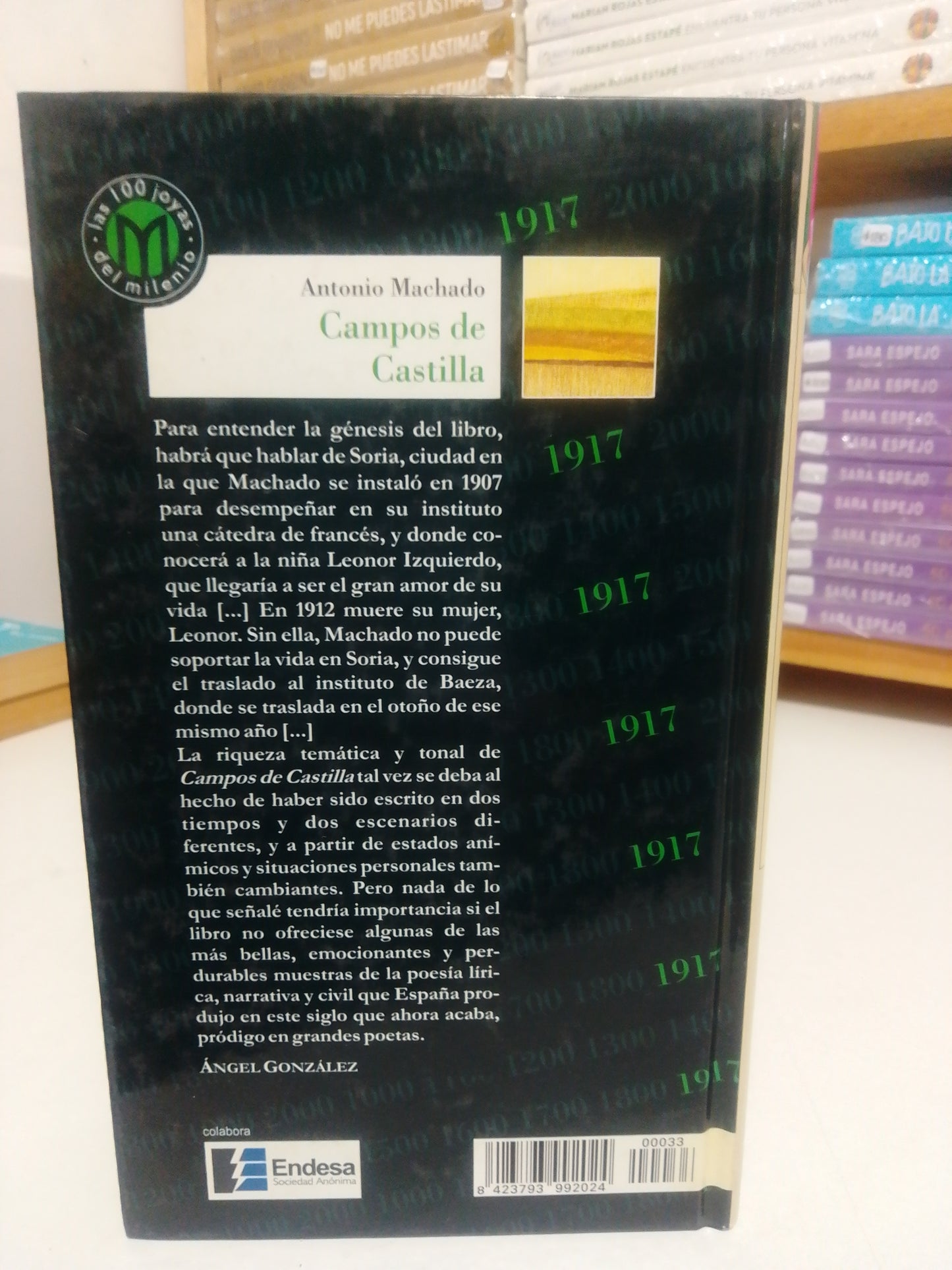 CAMPOS DE CASTILLA POR ANTONIO MACHADO USADO NOVELA JUAREZ