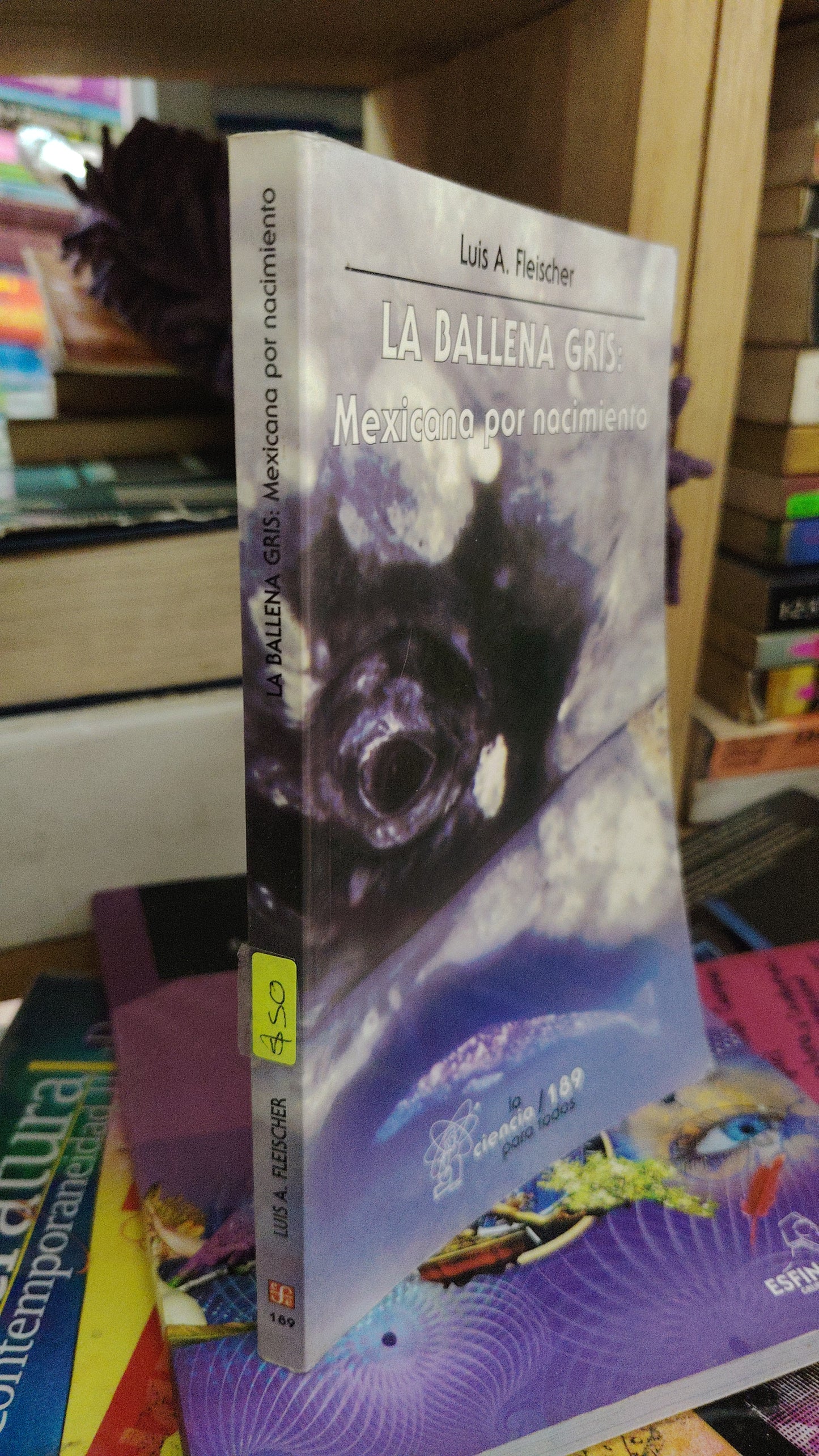 LA BALLENA GRIS: MEXICANA POT NACIMIENTO POR LUIS A. FEISCHER USADO CIENCIA LITERARIO 207