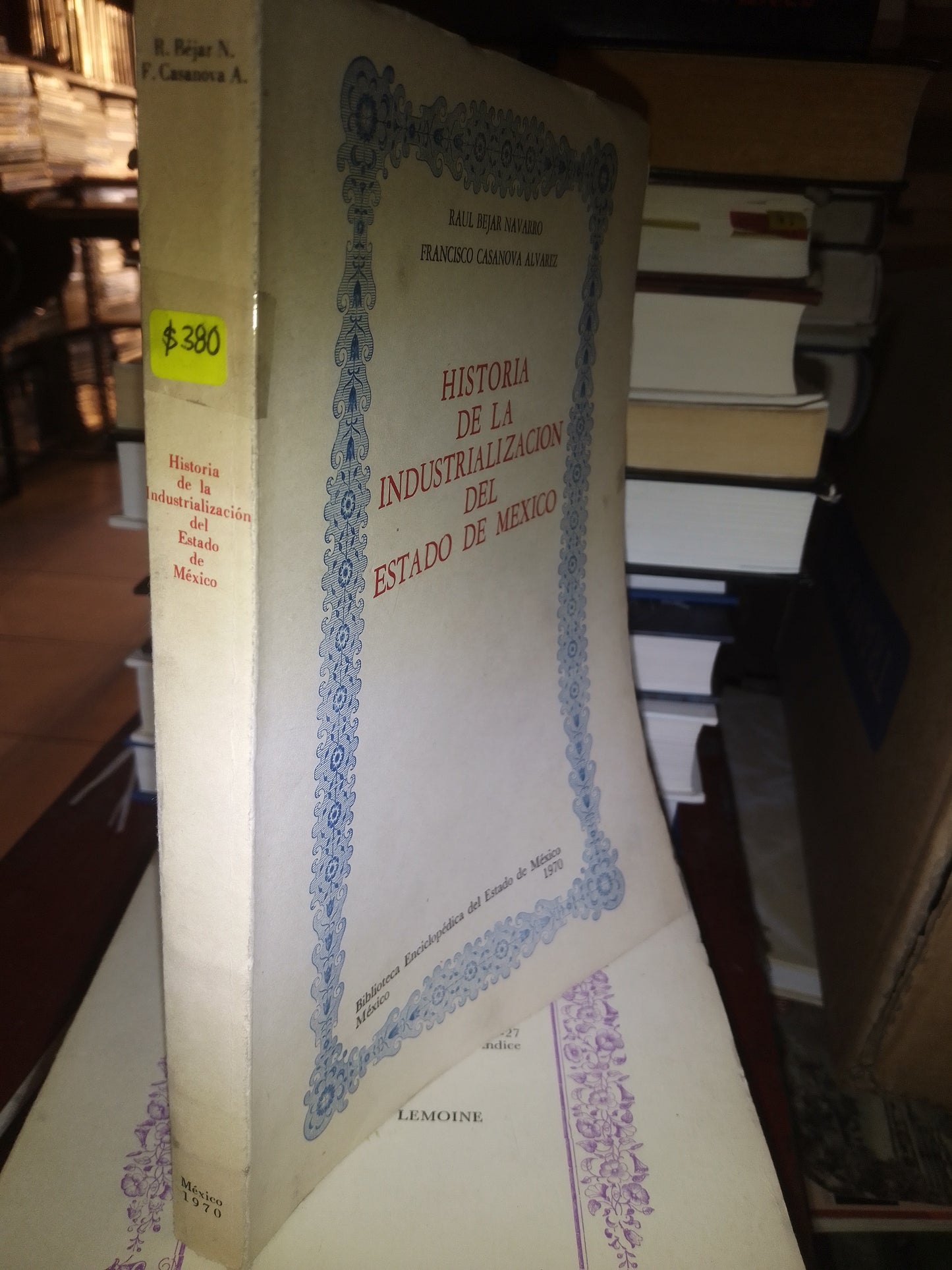 HISTORIA DE LA INDUSTRIALIZACIÓN DEL ESTADO DE MÉXICO POR RAUL BEJAR NAVARRO USADO HISTORIA LITERARIO 207