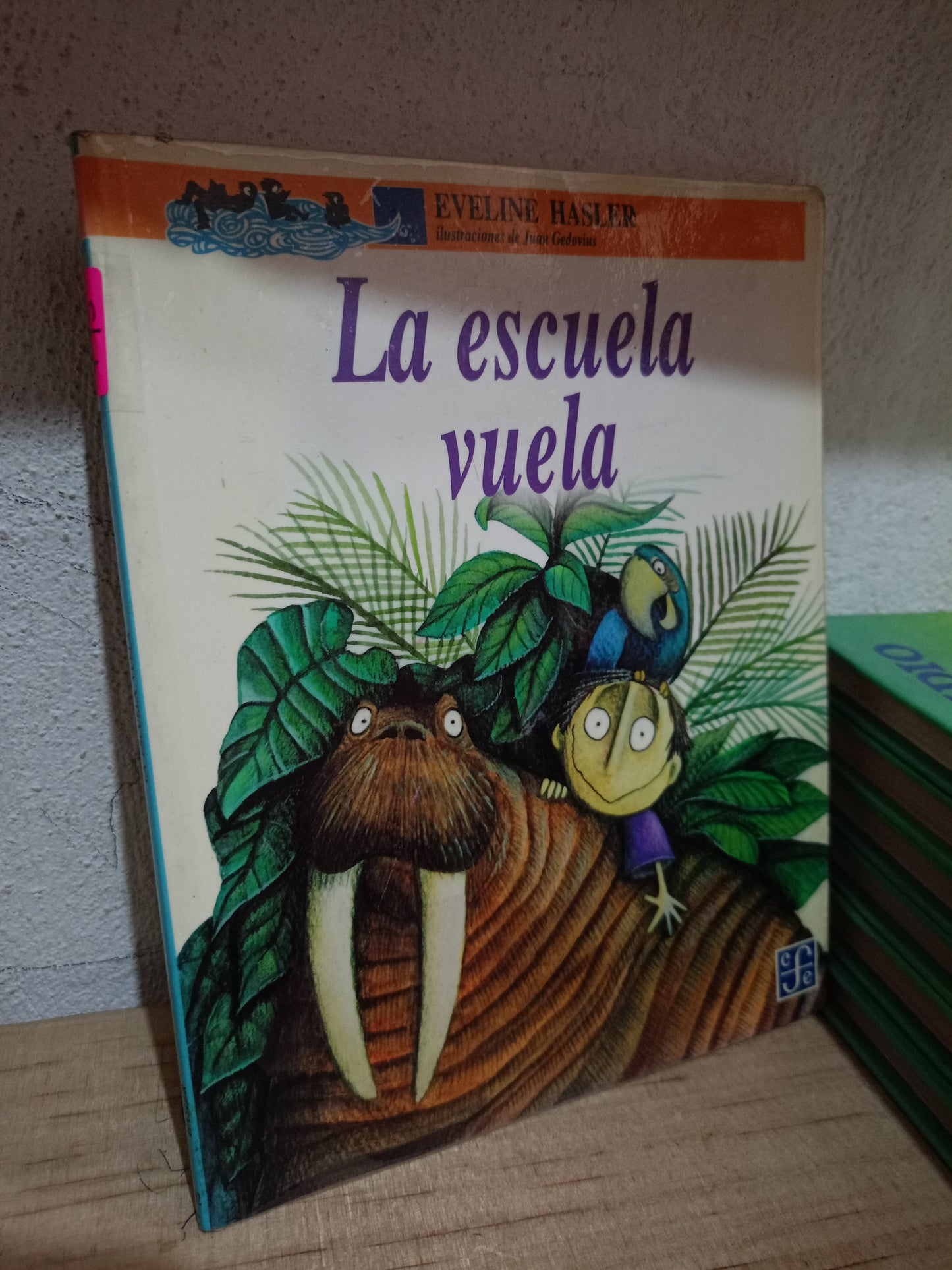 LA ESCUELA VUELA POR EVELINE HASLER USADO INFANTIL LITERARIO 305