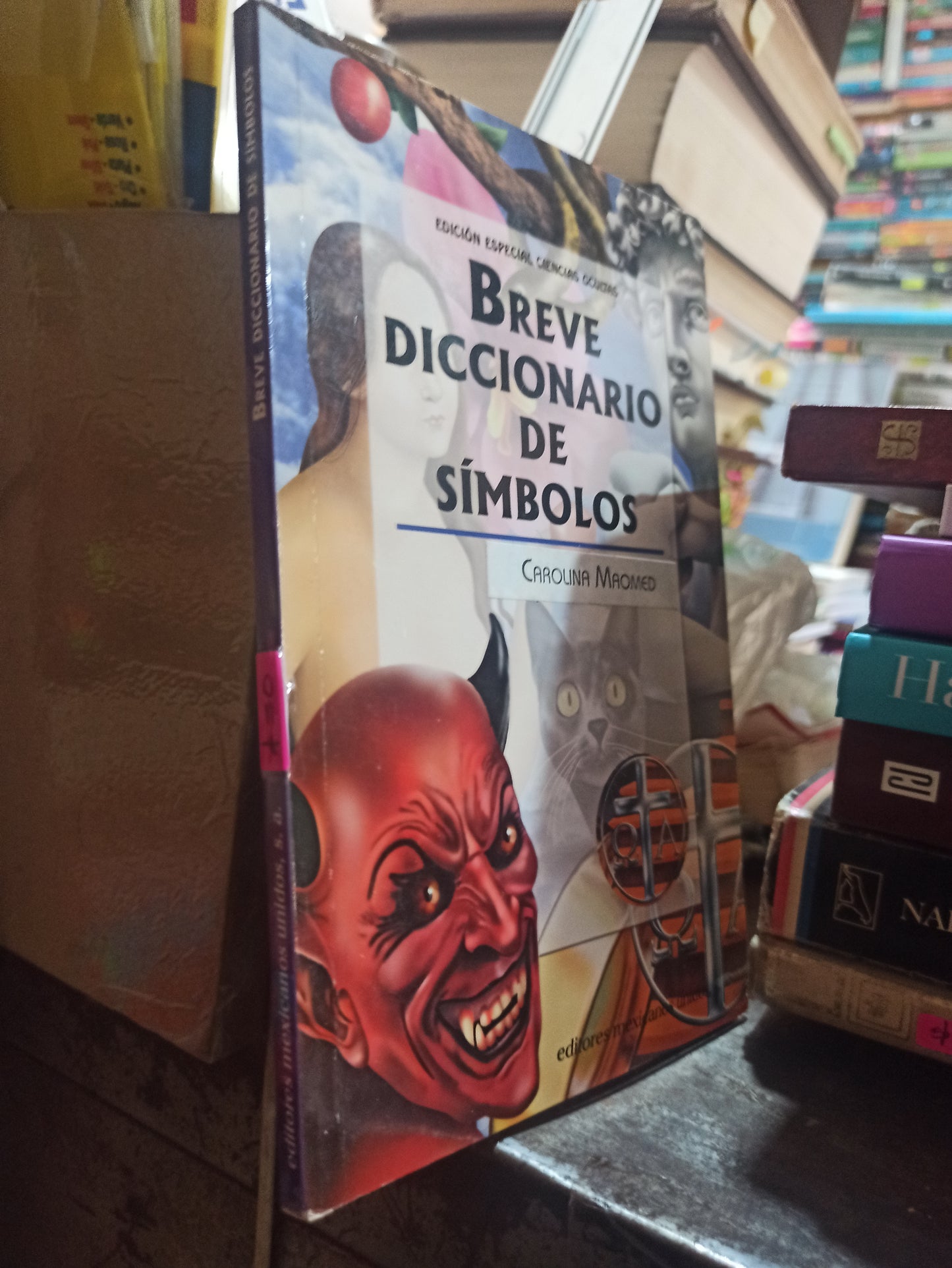 BREVE DICCIONARIO DE SIMBOLOS POR CAROLINA MAOMED USADO HISTORIA ALDAMA