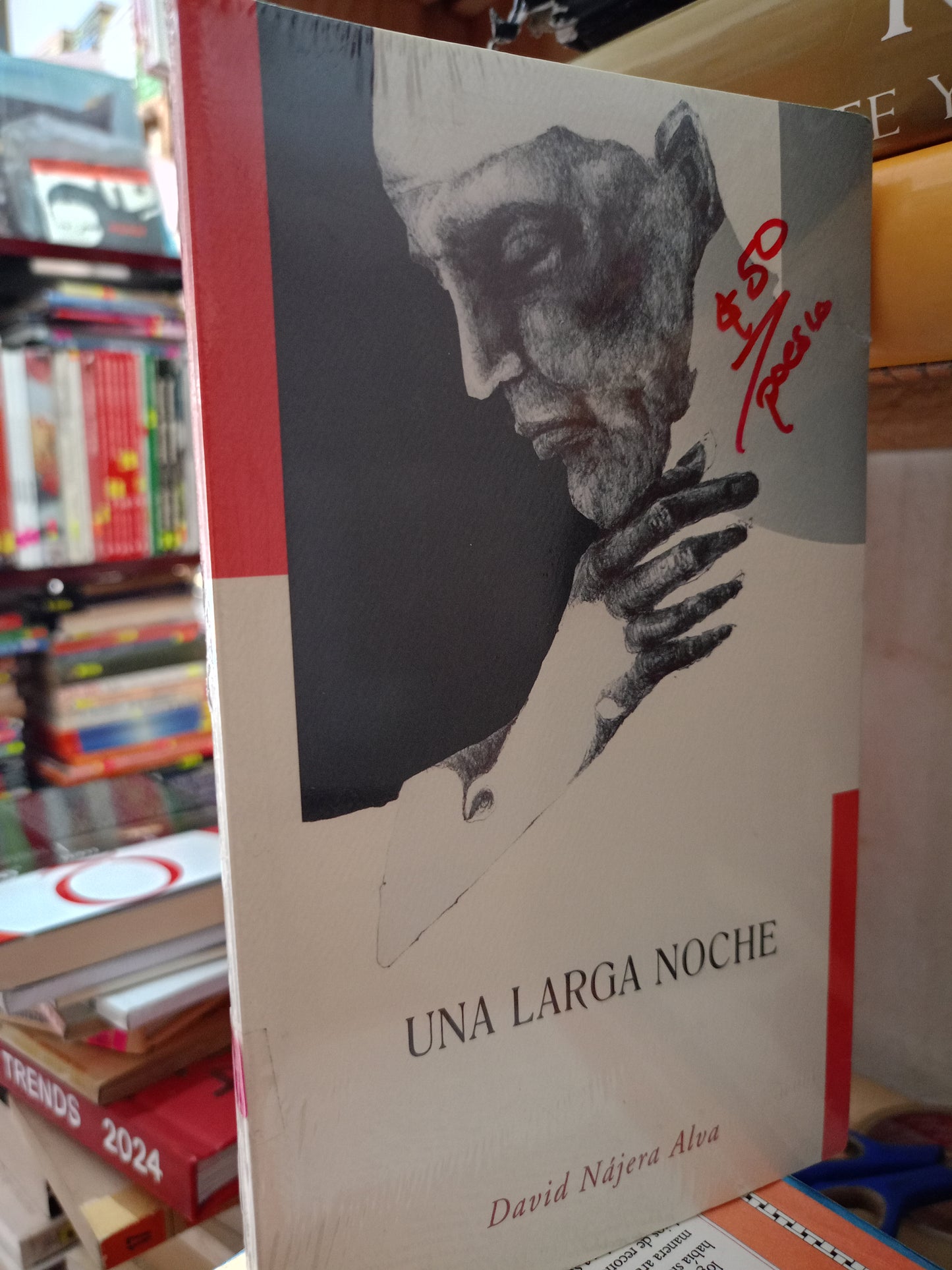UNA LARGA NOCHE POR DAVID NAJERA ALVA NOVELA POESIA LITERARIO 305