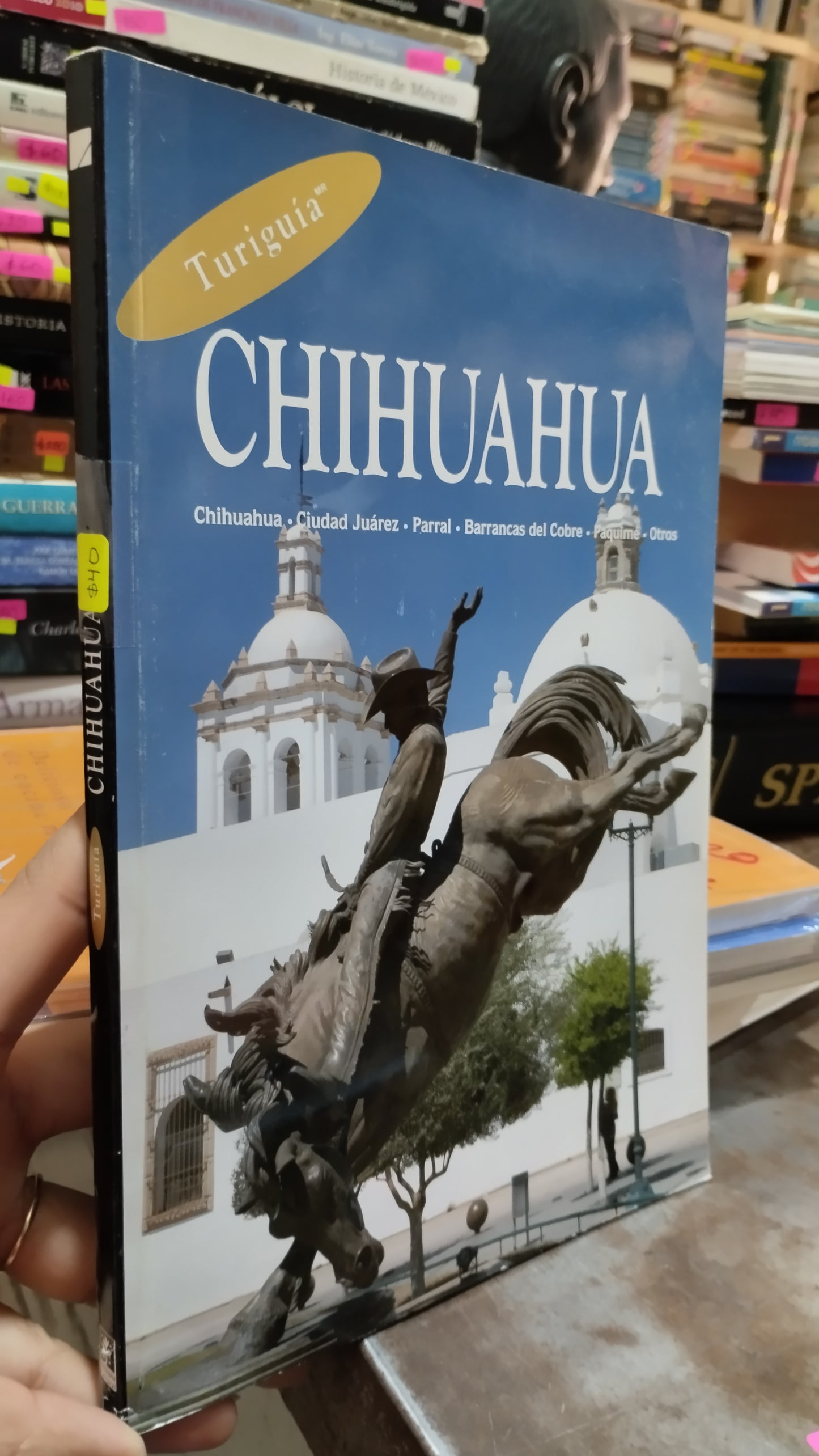 CHIHUAHUA LIBRO USADO GEOGRAFIA ALDAMA