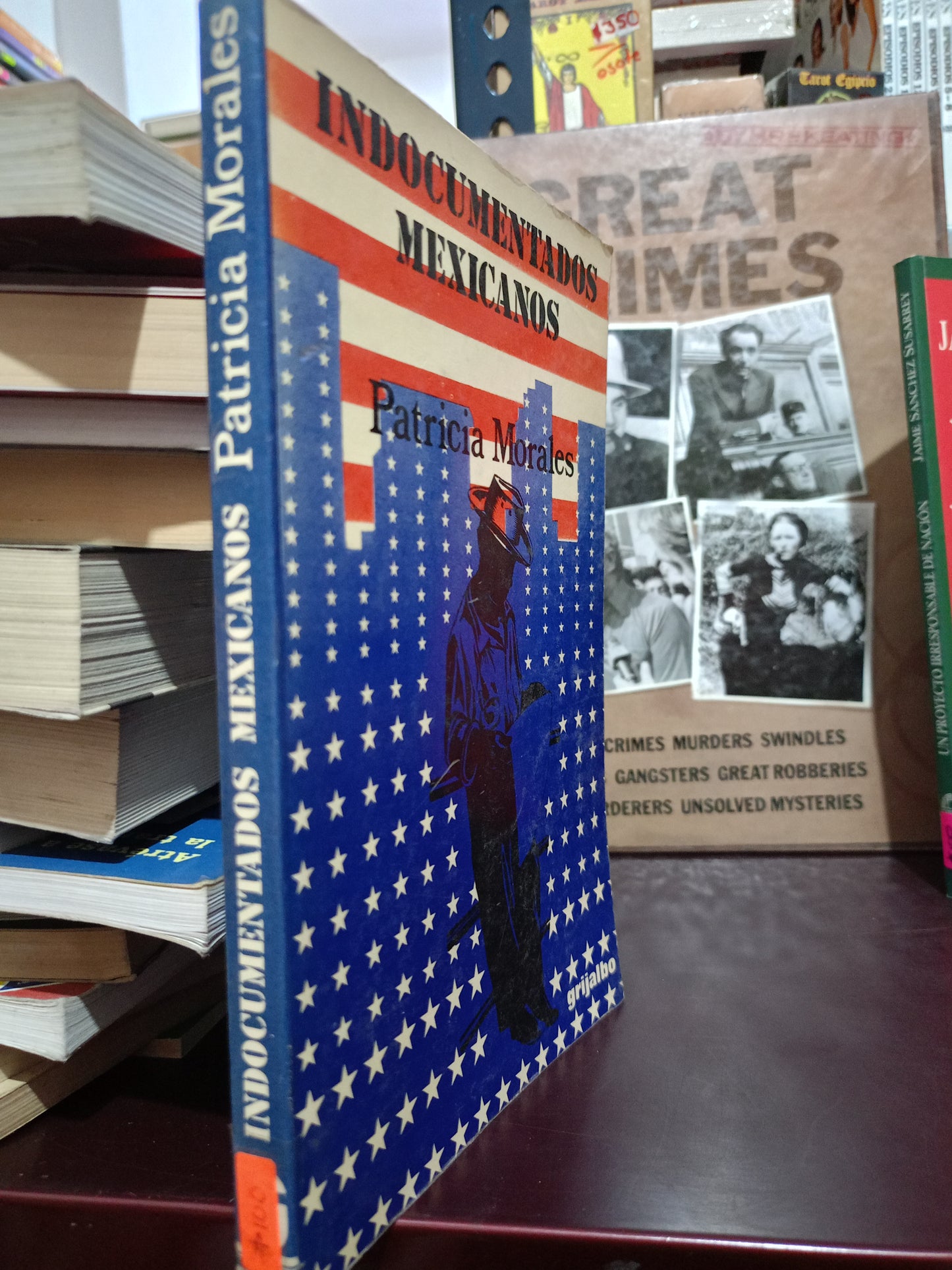 INDOCUMENTADOS MEXICANOS POT PATRICIA MORALES USADO POLITICA LITERARIO 305