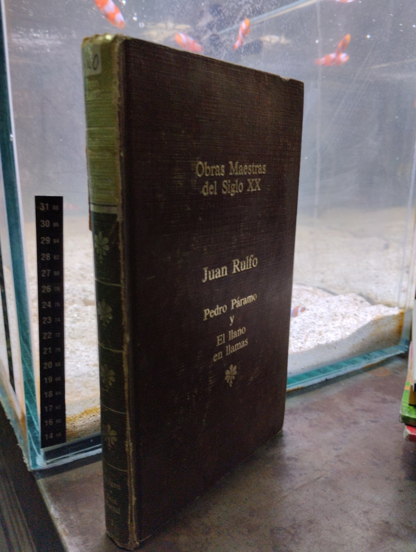 OBRAS MAESTRAS FEL SIGLO XX PEDRO PARAMO Y RL LLANO EN LLAMAS POR JUAN RULFO USADO NOVELAS ALDAMA