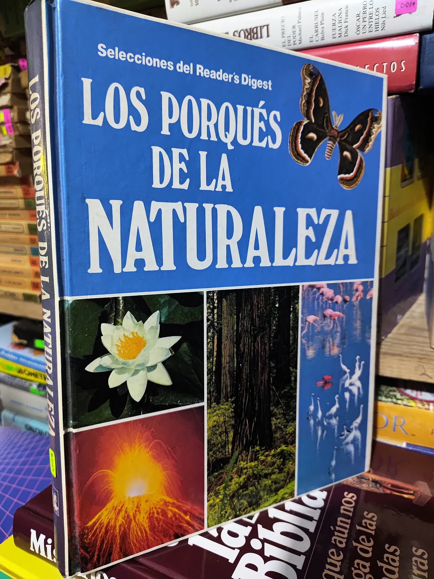 LOS PORQUES DE LA NATURALEZA POR READERS DIGEST USADO INFANTILES JUAREZ 507