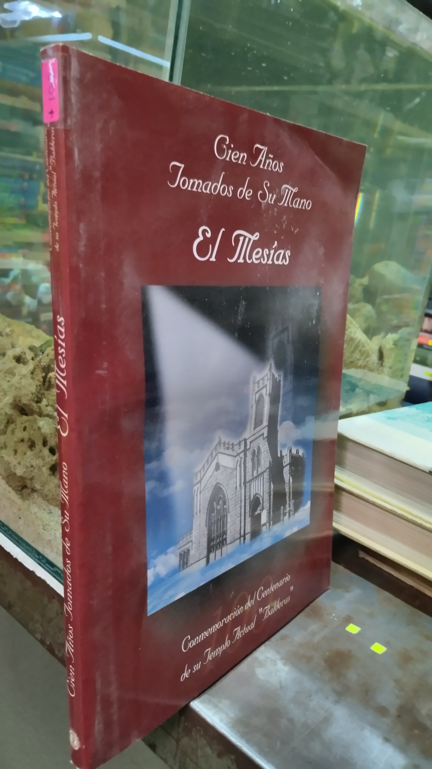 CIEN AÑOS TOMADOS DE SU MANO EL MESIAS LIBRO USADO HISTORIA ALDAMA