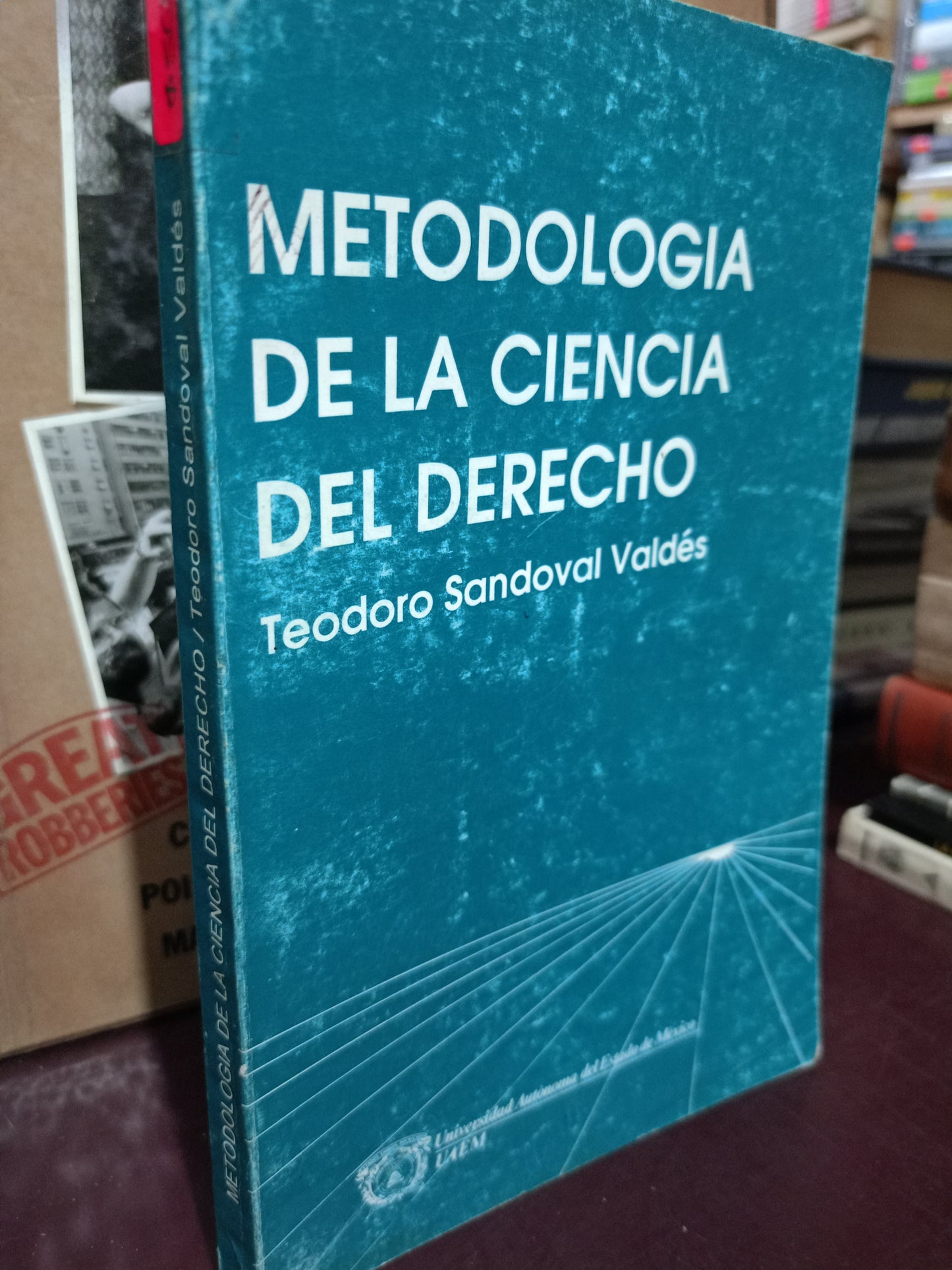 METODOLOGÍA DE LA CIENCIA DEL DERECHO PORQUE ADORO SANDOVAL VALDES USADO DERECHO LITERARIO 305