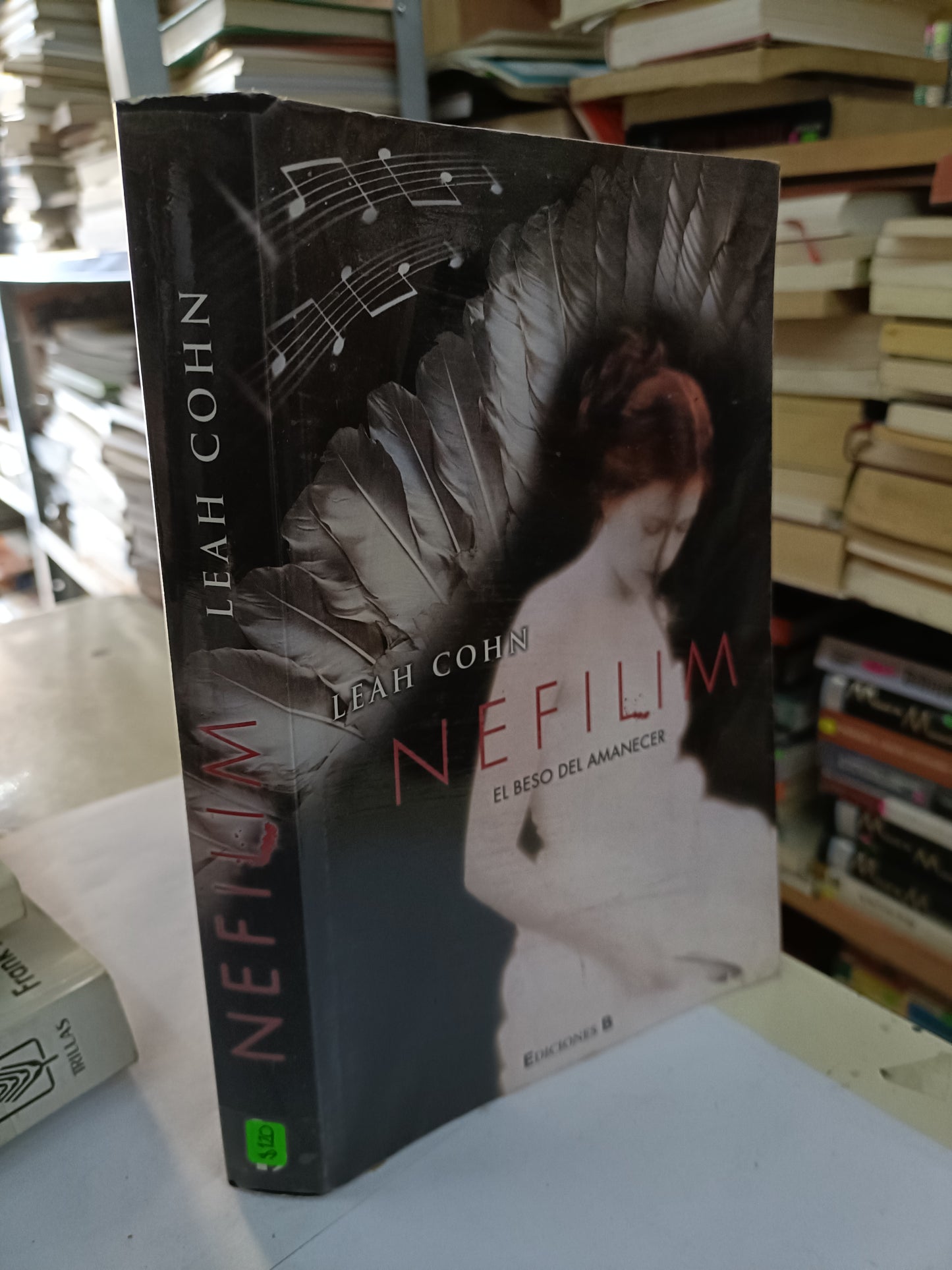 NEFILIM EL BESO DEL AMANECER POR LEAH COHN USADO NOVELA LITERARIO 207
