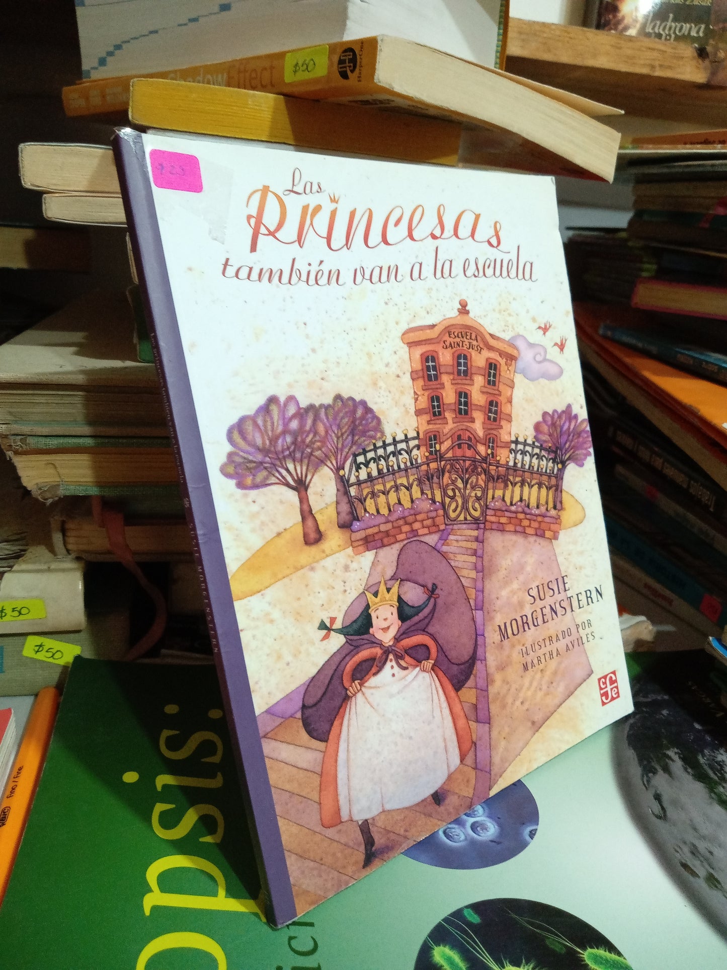 LAS PRINCESAS TAMBIEN VAN A LA ESCUELA POR SUSIE MONGERNSTERN USADO INFANTIL JUAREZ