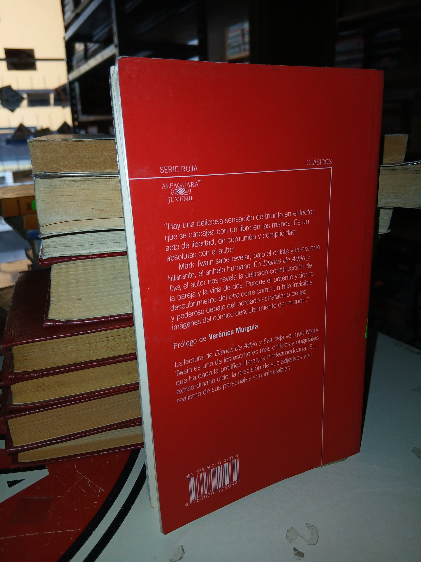 DIARIOS DE ADÁN Y EVA POR MARK TWAIN USADO NOVELA LITERARIO 207