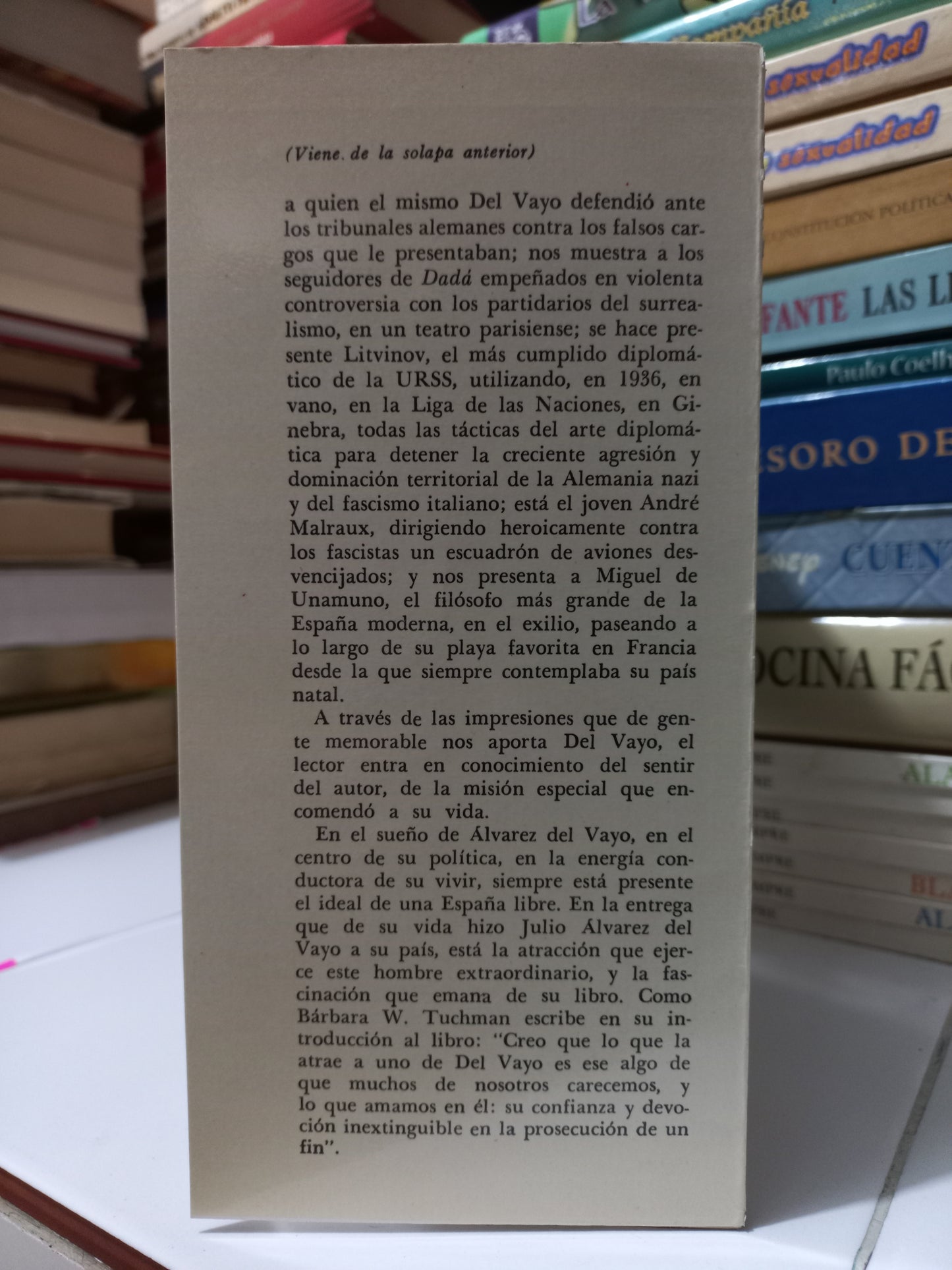 EN LA LUCHA POR JULIO ÁLVAREZ DEL VAYO USADO NOVELA JUÁREZ