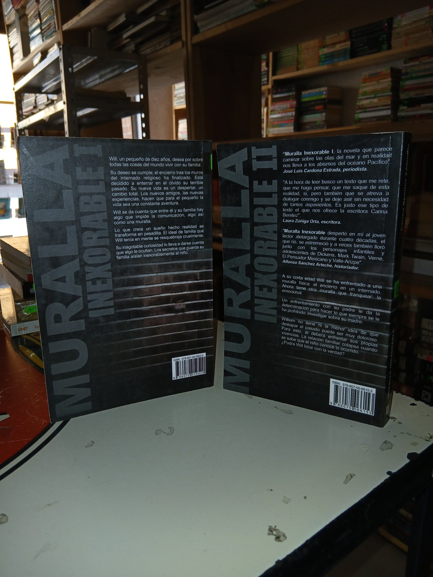 MURALLA INEXORABLE I Y II POR CARINA BENITEZ ZAMUDIO USADO NOVELA LITERARIO 207