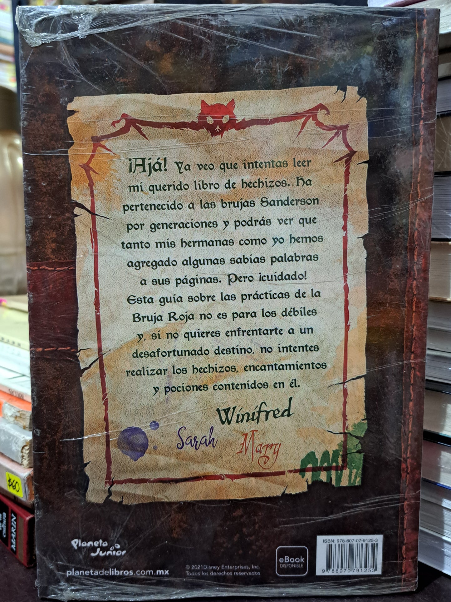 LIBRO DE HECHIZOS HOCUS POCUS NUEVO LIBROS NUEVOS LITERARIO 305