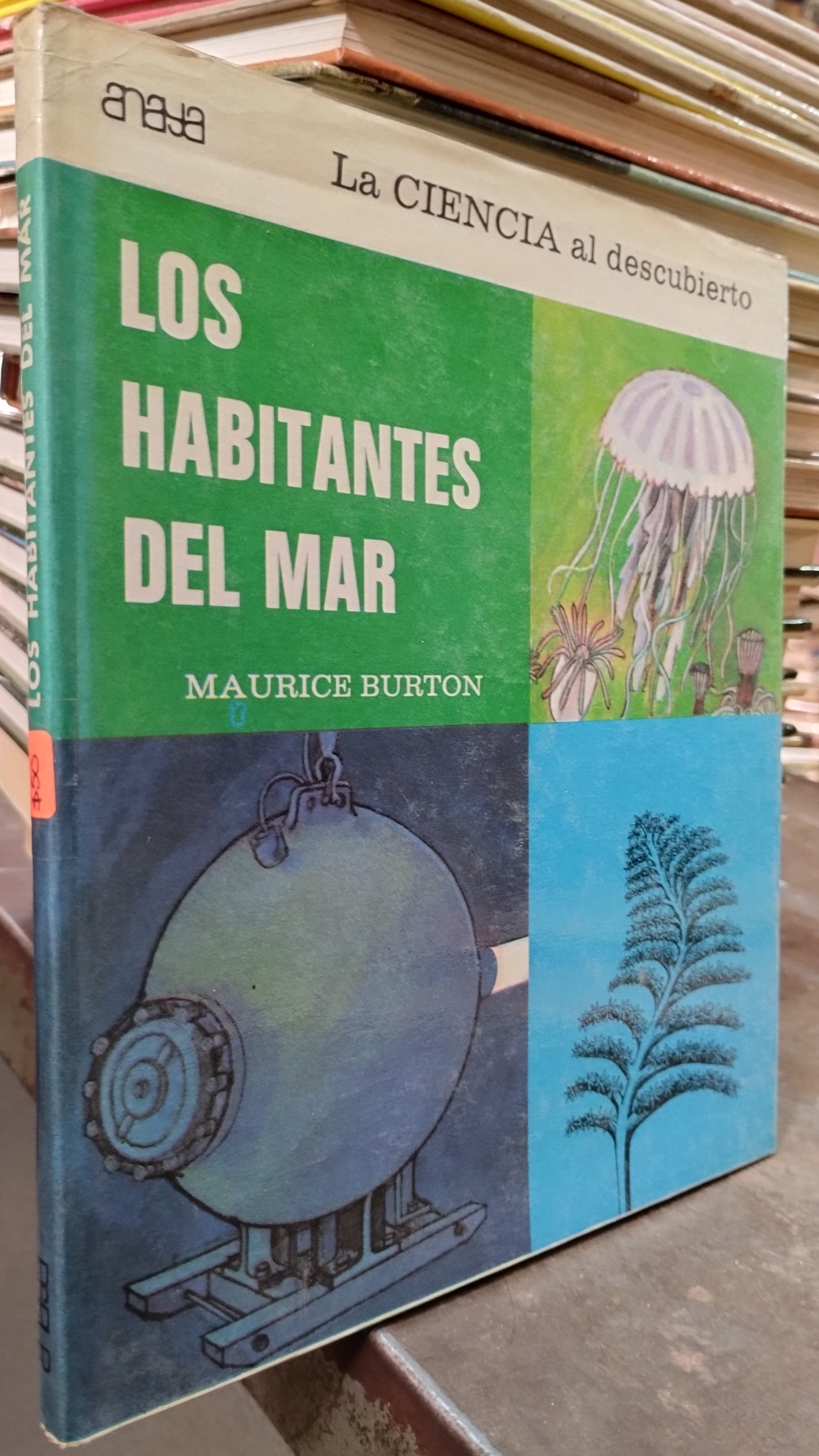LOS HABITANTES DEL MAR POR MAURICE BURTON LIBRO USADO CIENCIA ALDAMA