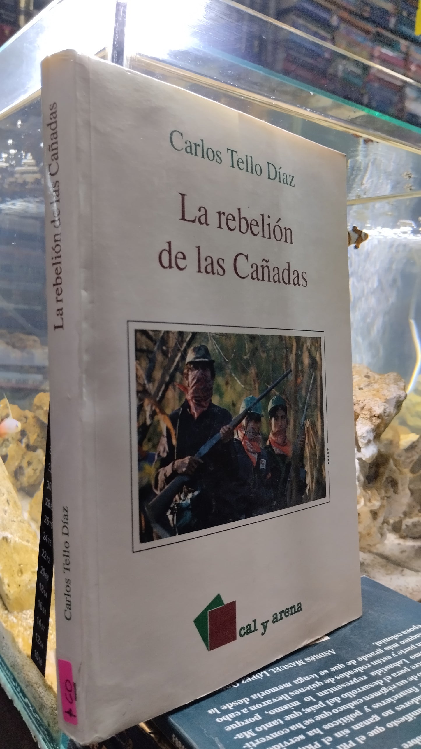 LA REBELION DE LAS CAÑADAS POR CARLOS TELLO DIAZ LIBRO USADO NOVELAS ALDAMA