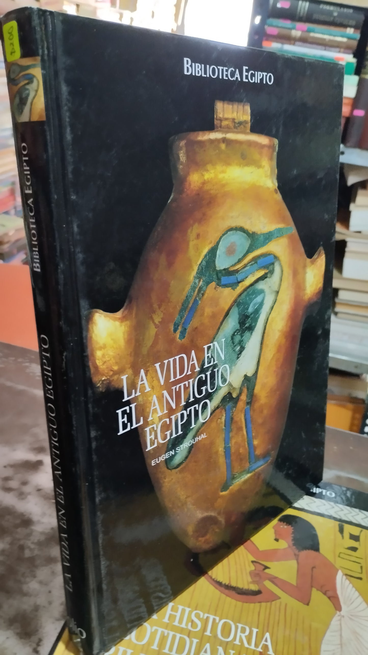 LA VIDA EN EL ANTIGUO EGIPTO POR EUGEN STROUHAL LIBRO USADO HISTORIA ALDAMA