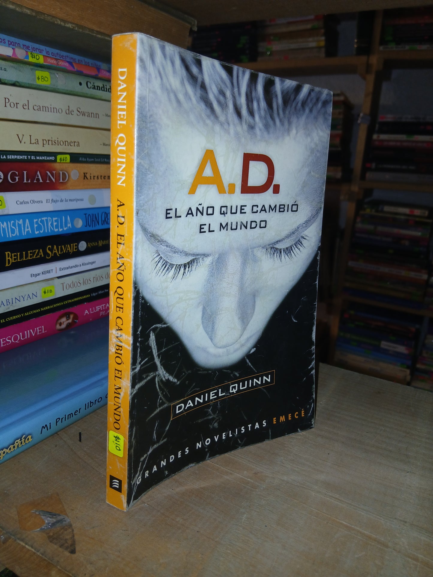 A.D. EL AÑO QUE CAMBIÓ EL MUNDO POR DANIEL QUINN USADO NOVELA LITERARIO 207
