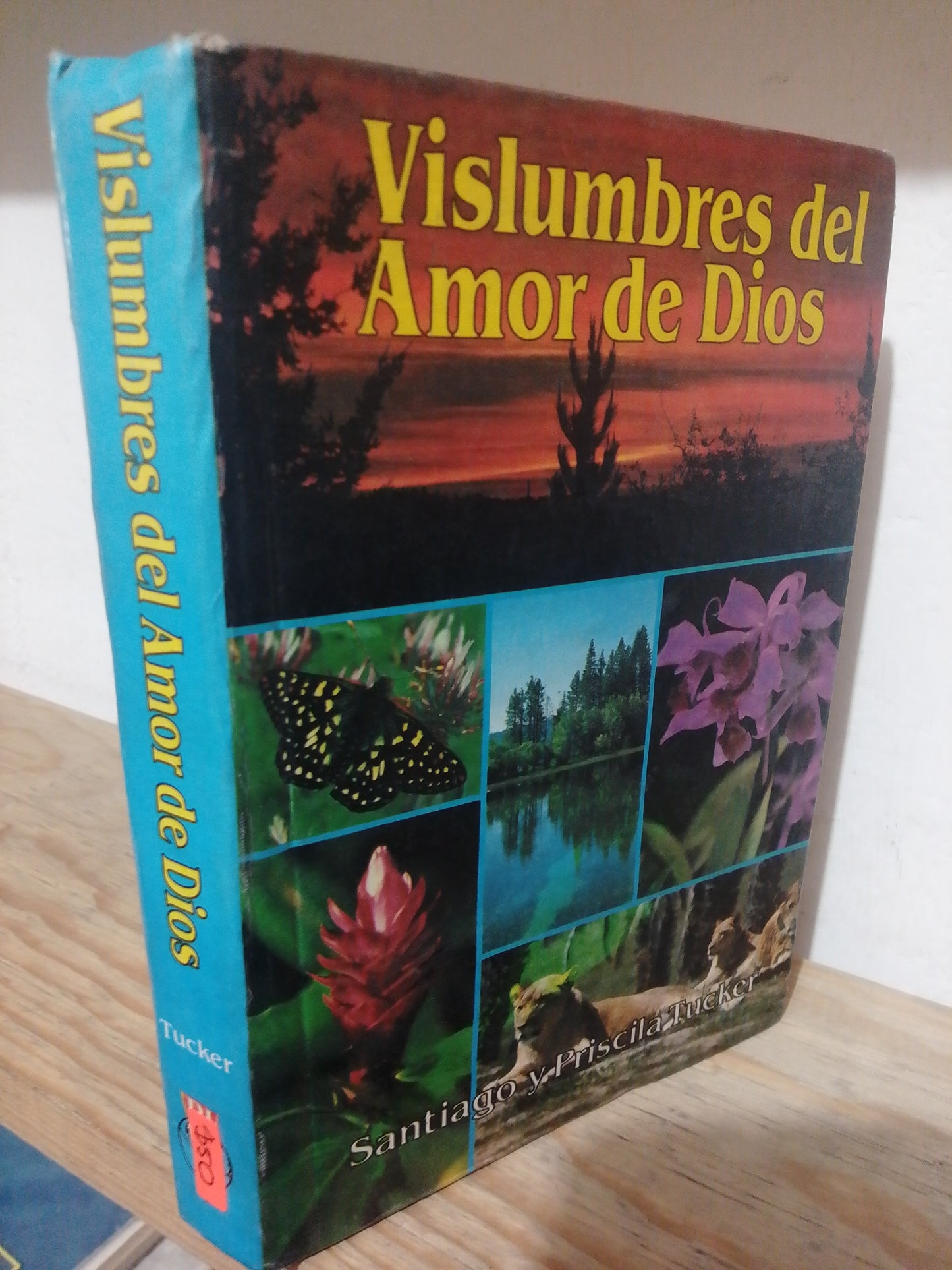 VISLUMBRES DEL AMOR DE DIOS POR SANTIAGO Y PRICILA TUCKER USADO RELIGION JUAREZ
