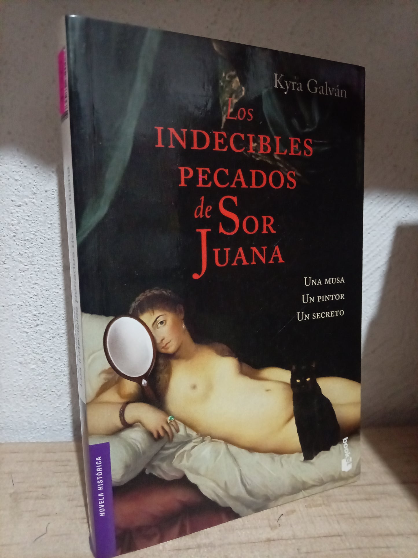 LOS INDECIBLES PECADOS DE SOR JUANA POR KYRA GALVAN USADO NOVELA LITERARIO 305