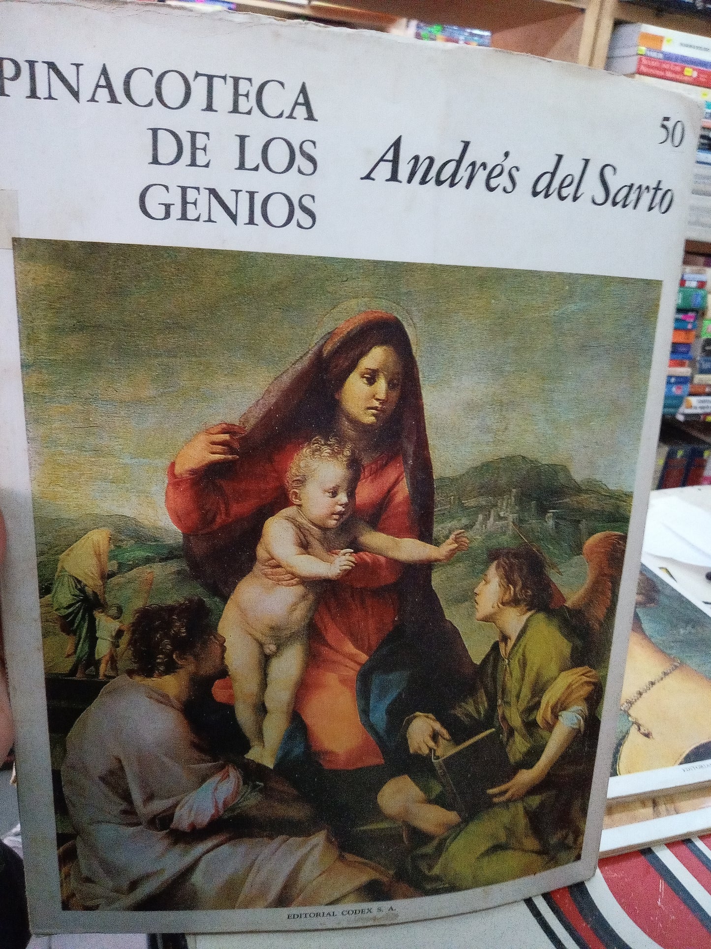 PINACOTECA DE LOS GENIOS ANDRES DEL SARTO POR FIORELLA SRICCHIA SANTORO USADO ARTE LITERARIO 207