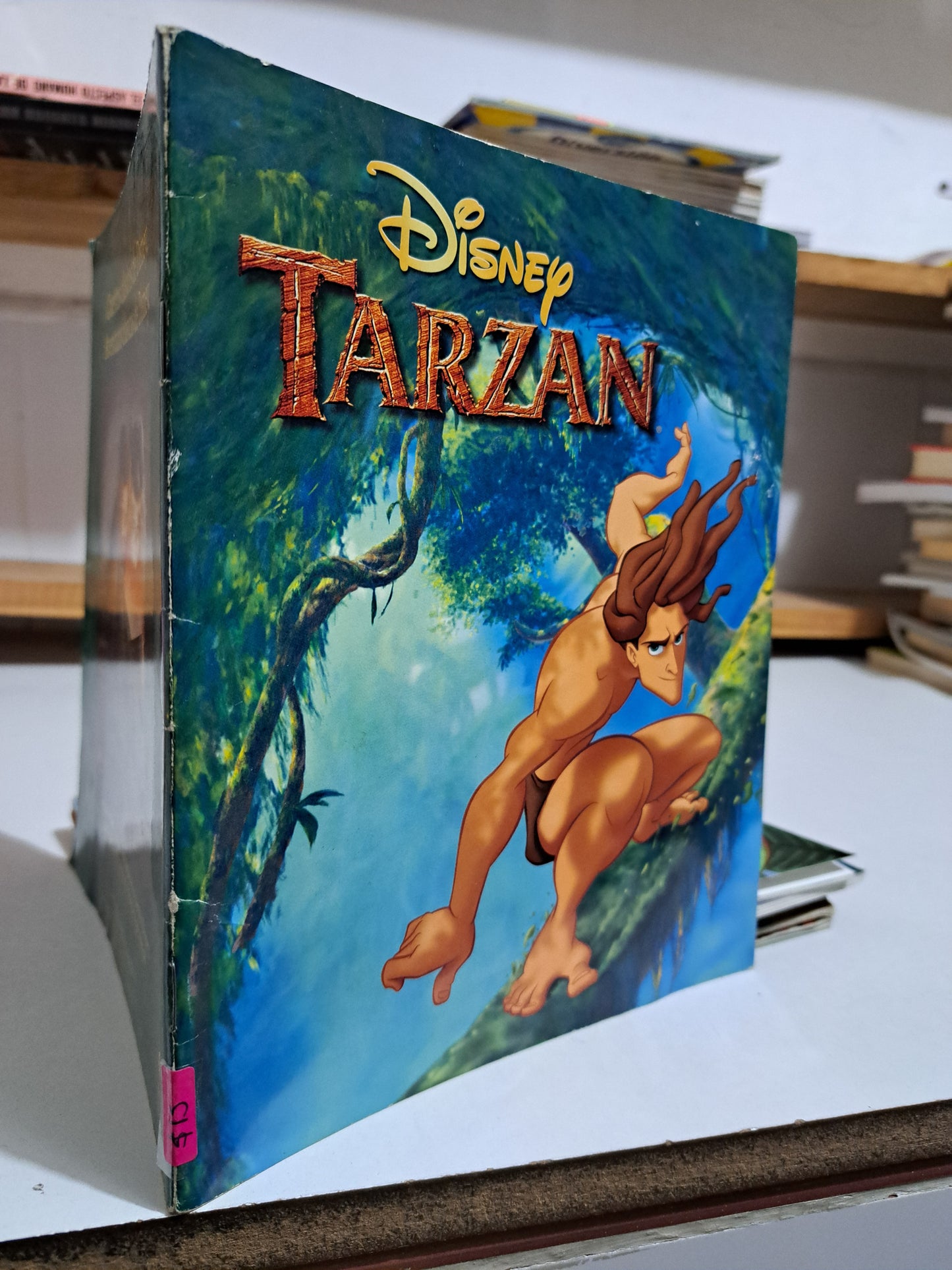 TARZAN USADO INFANTIL JUÁREZ