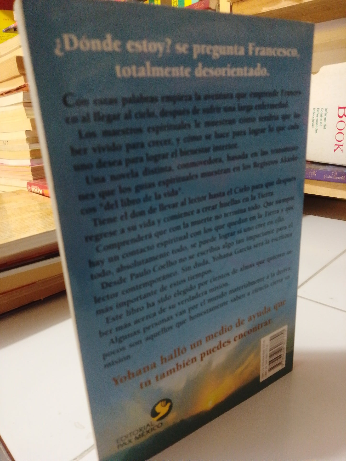 FRANCESCO UNA VIDA ENTRE EL CIELO Y LA TIERRA POR YOHANA GARCIA USADO SUP.PERSONAL JUAREZ