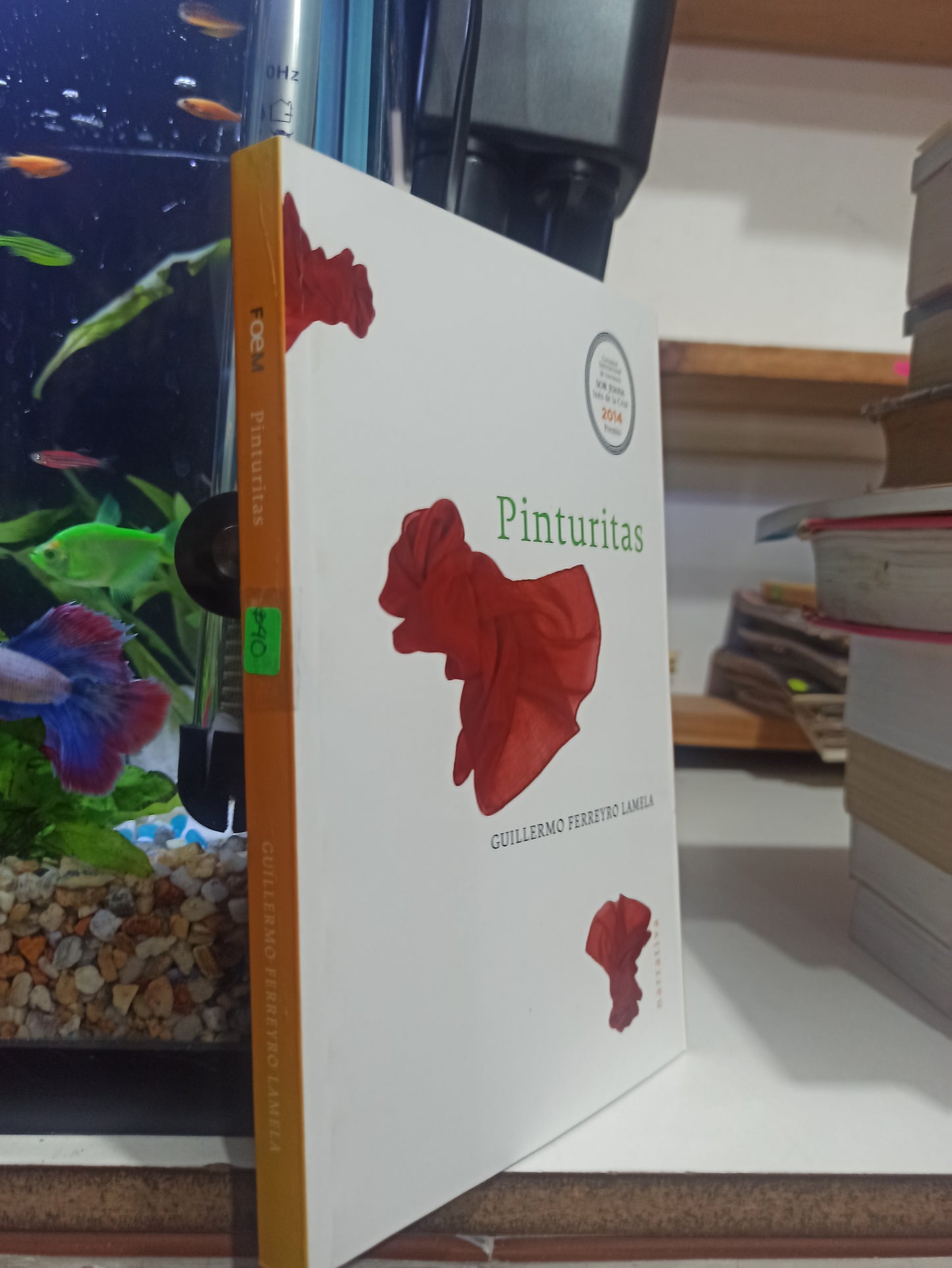 PINTURITAS POR GUILLERMO DERREYRO LAMELA USADO NOVELAS JUÁREZ