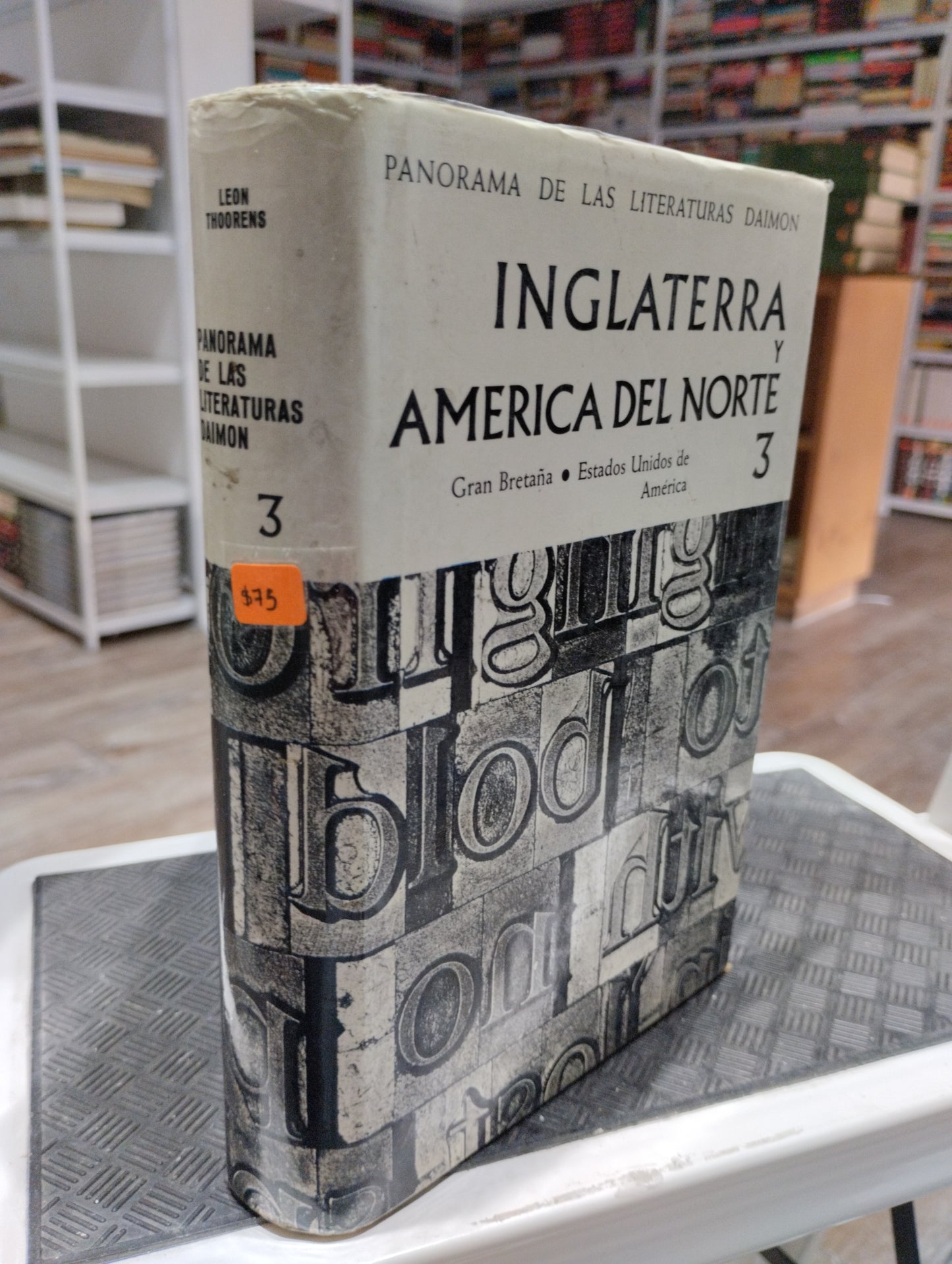 PANORAMA DE LAS LITERATURAS DAIMON INGLATERRA Y AMERICA DEL NORTE 3 POR LEON THOORENS USADO HISTORIA 515