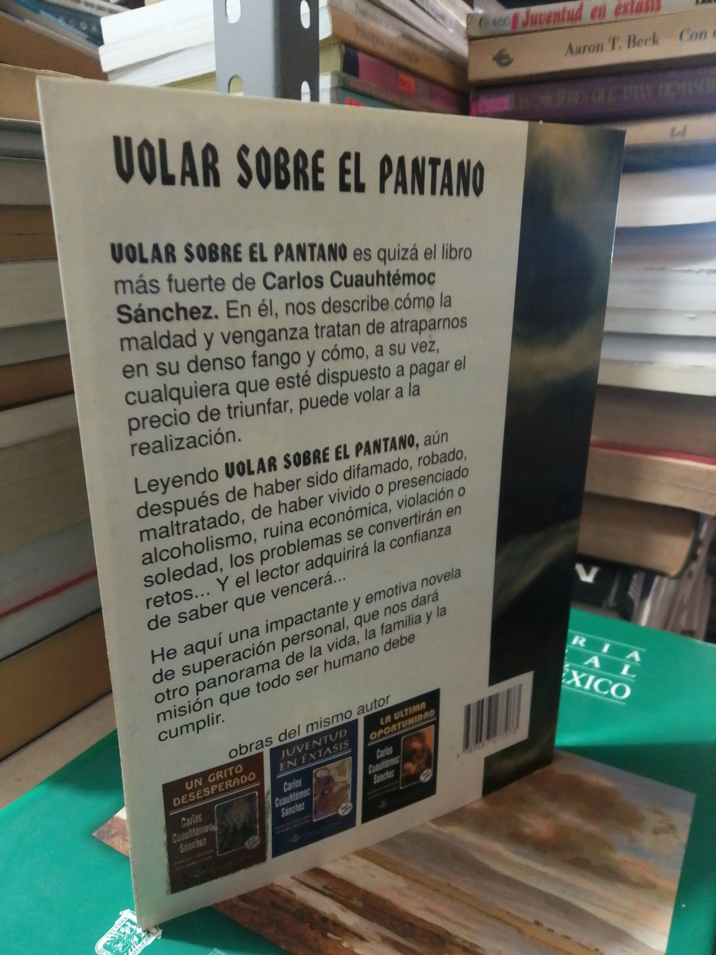 VOLAR SOBRE EL PANTANO POR CARLOS CUAUHTÉMOC SÁNCHEZ USADO SUP.PERSONAL JUÁREZ