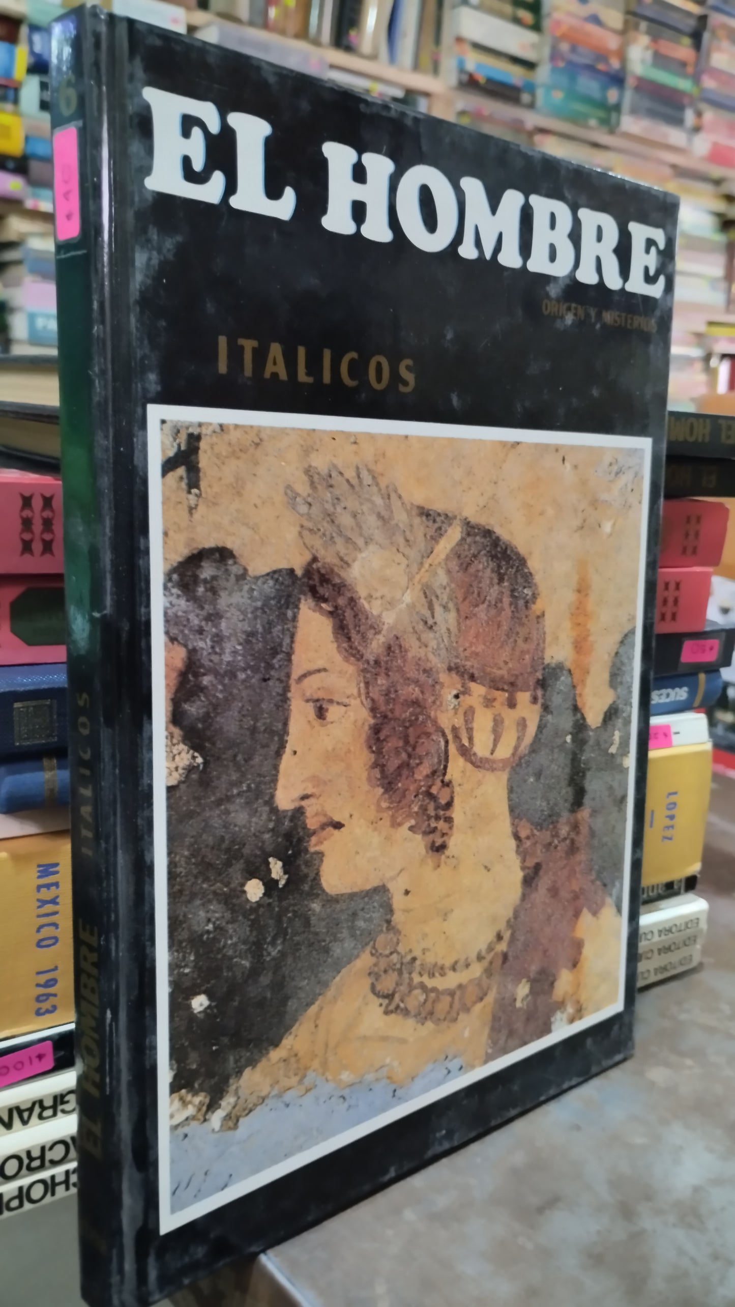 EL HOMBRE ITALICOS 6 LIBRO USADO HISTORIA ALDAMA