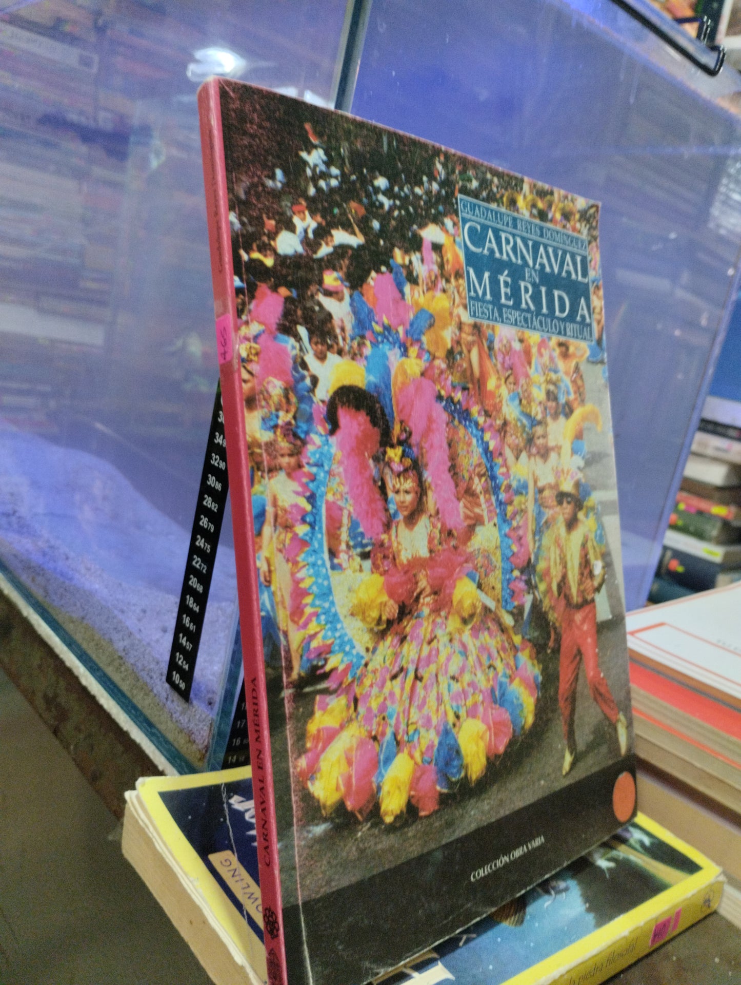 CARNAVAL EN MERIDA FIESTA ESPECTÁCULO Y RITUAL POR GUADALUPE RETES DOMINGUEZ USADO HISTORIA ALDAMA