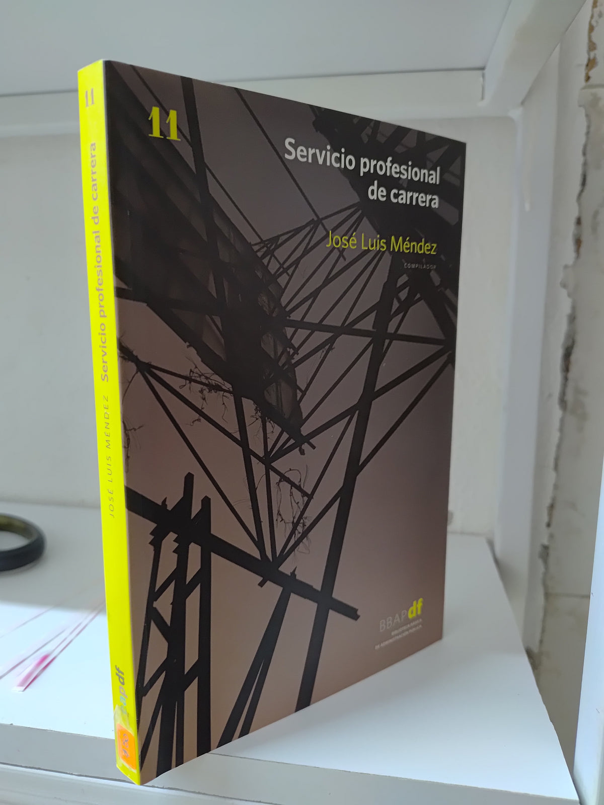 SERVICIO PROFESIONAL DE CARRERA POR JOSE LUIS MENDEZ USADO DERECHO JUAREZ 515