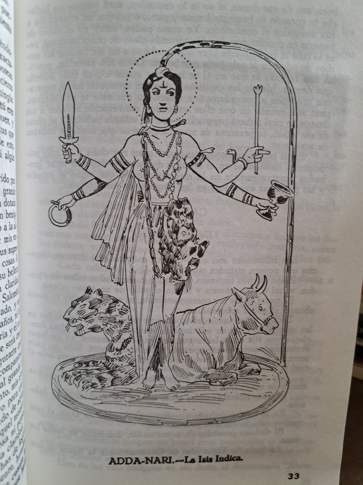 EL LIBRO DE SAN CIPRIANO EL TESORO DEL HECHICERO BIBLIOTECA DE CIENCIAS OCULTAS USADO ESOTERISMO ALDAMA