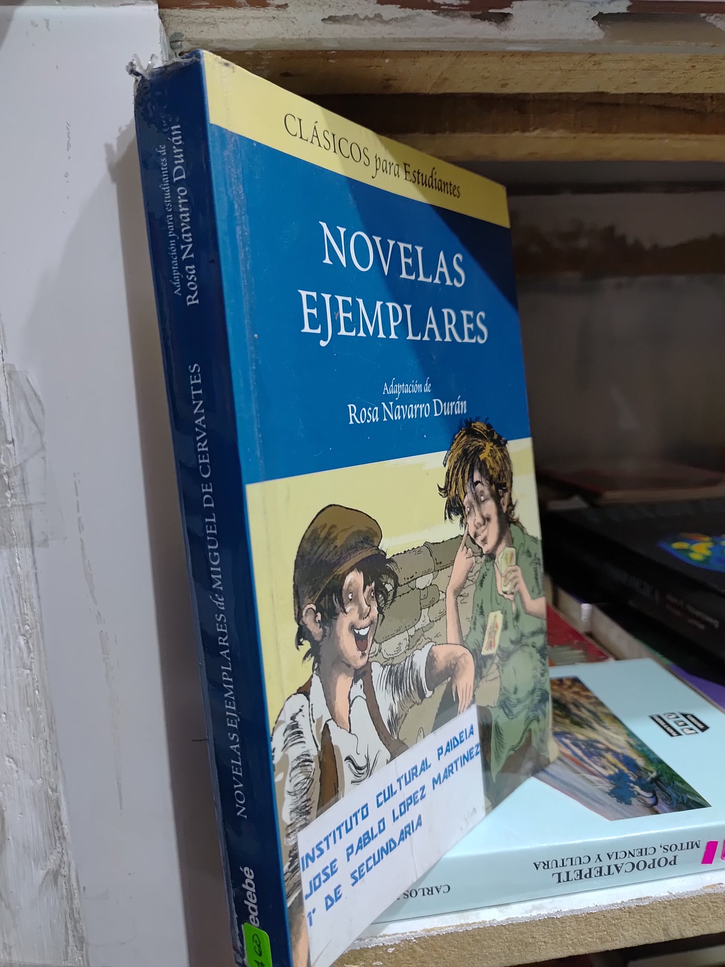 NOVELAS EJEMPLARES POR ROSA NAVARRO DURAN USADO NOVELAS JUAREZ