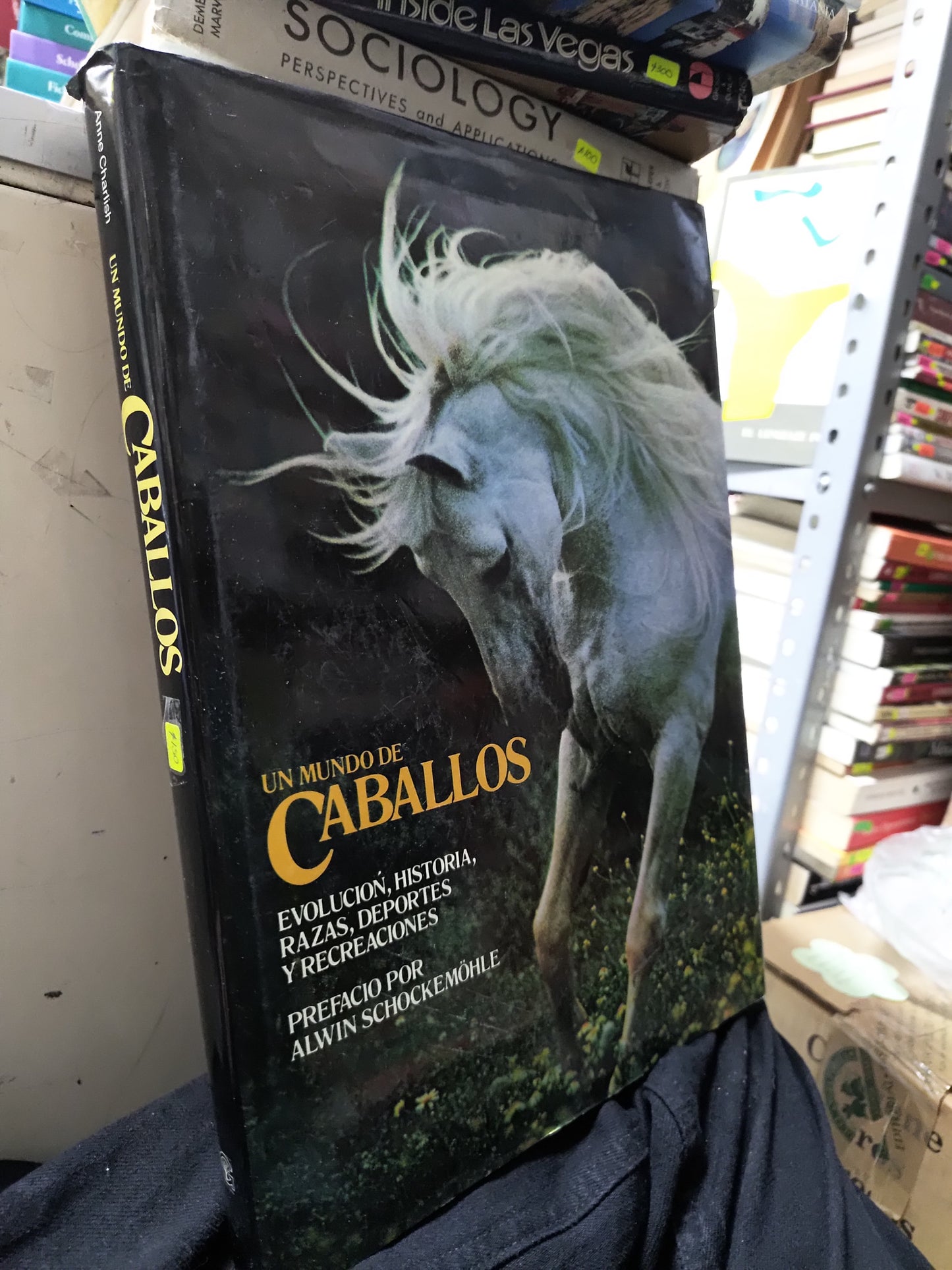 UN MUNDO DE CABALLOS POR ANNE CHARLISH USADO BIOLOGIA JUAREZ 507